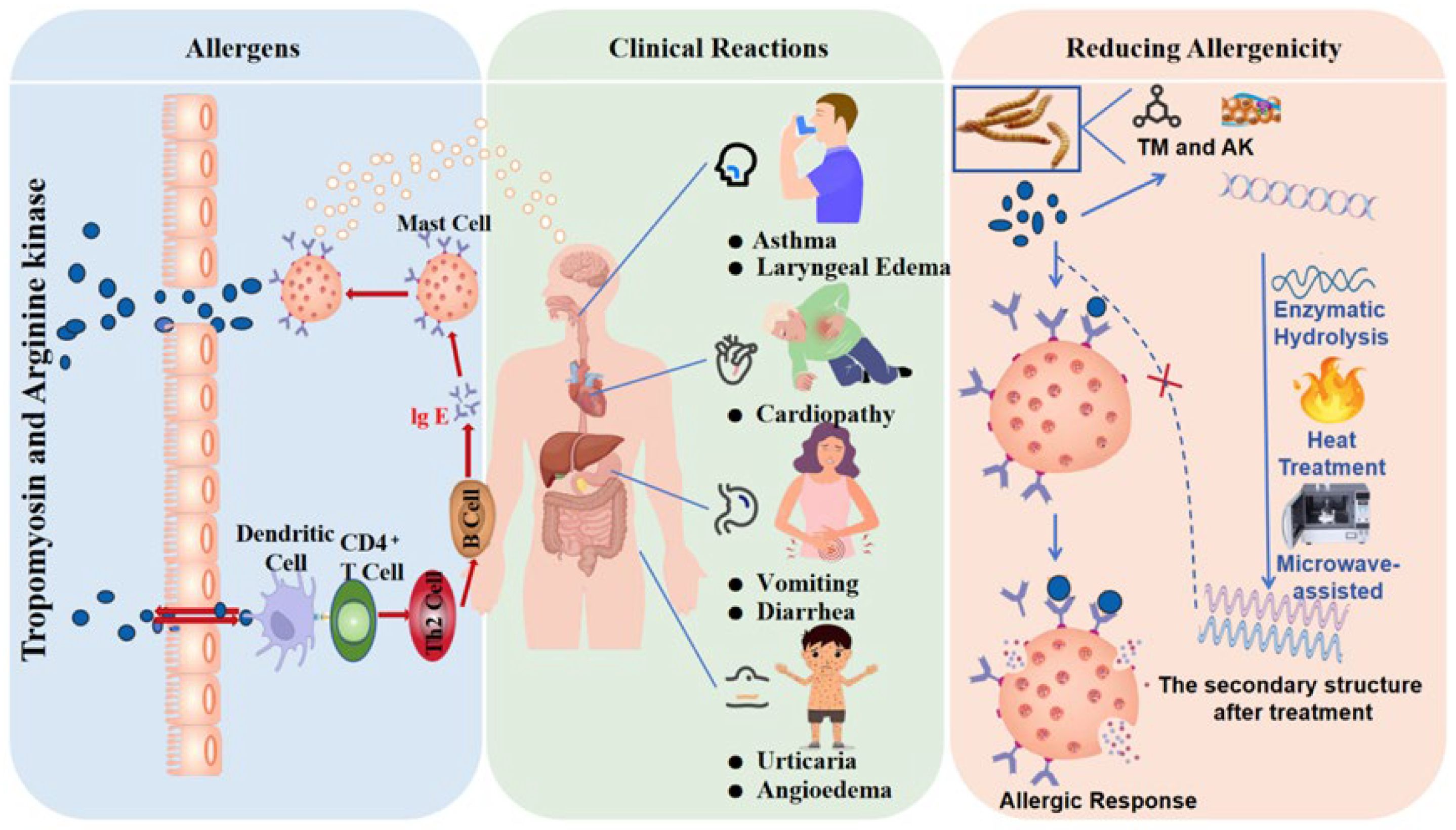 Nutrients 17 03165 g001 Nutrients 17 03165 g001