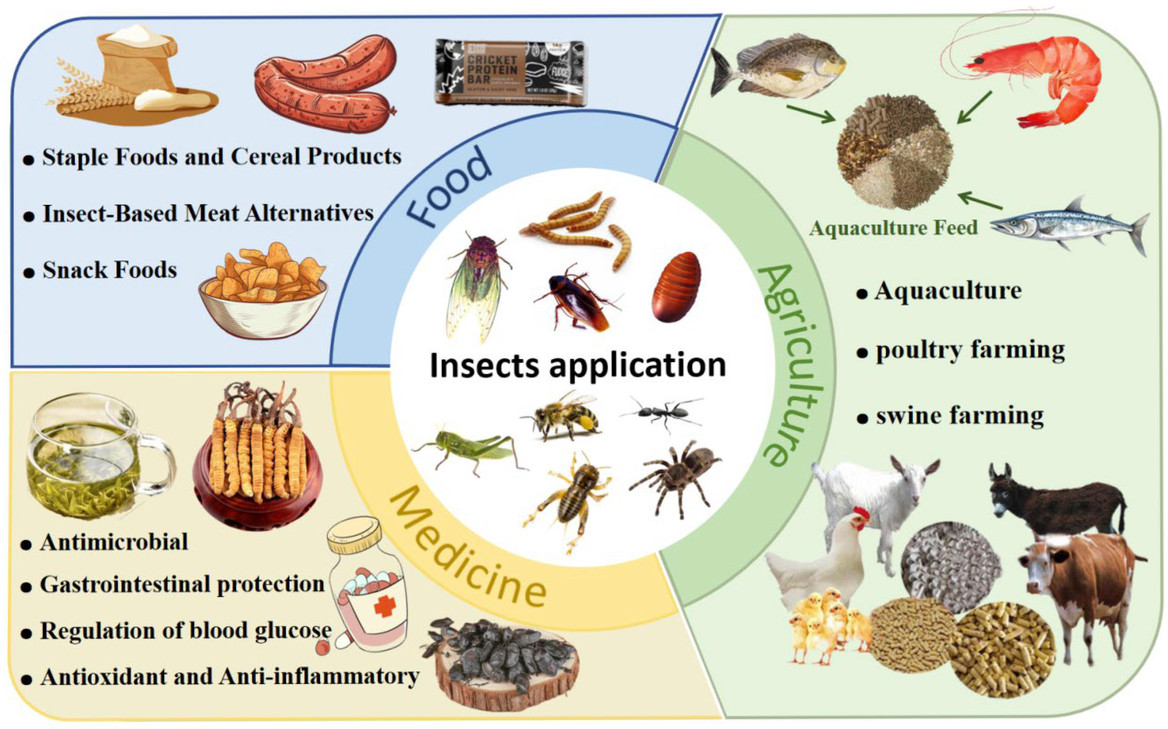 Nutrients 17 03165 g002 Nutrients 17 03165 g002