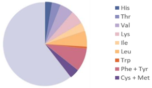 Nutrients 17 03165 i004 Nutrients 17 03165 i004