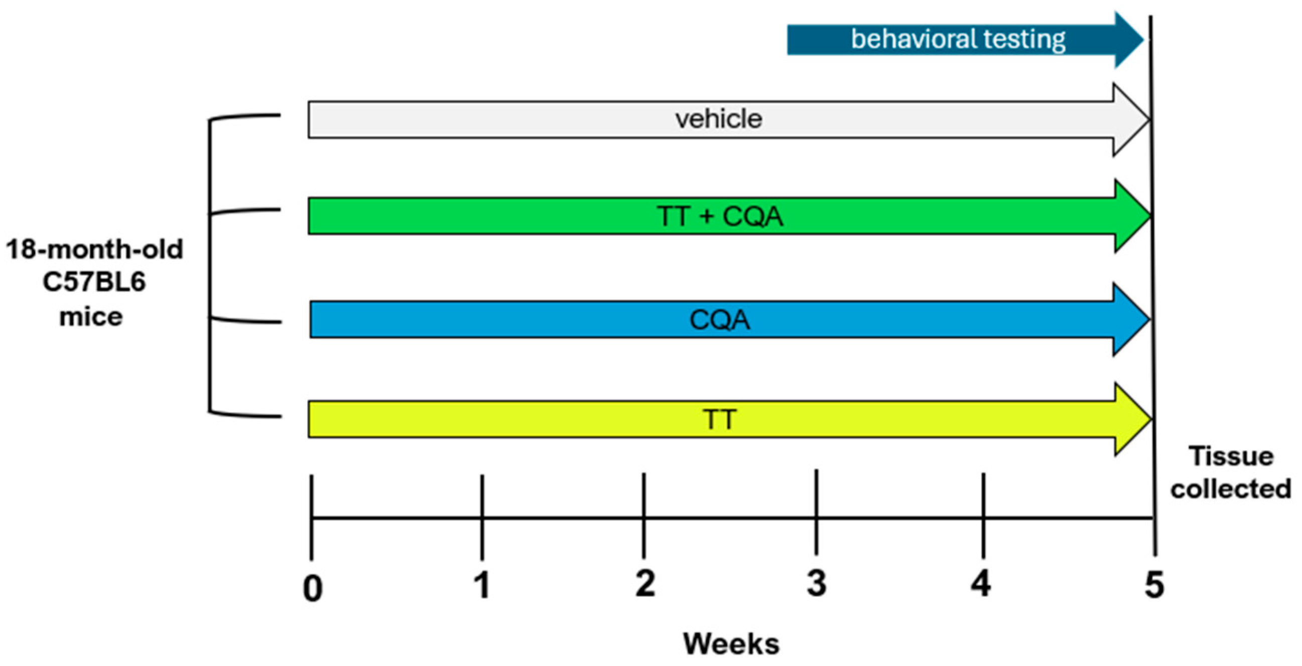 Nutrients 17 03171 g001 Nutrients 17 03171 g001