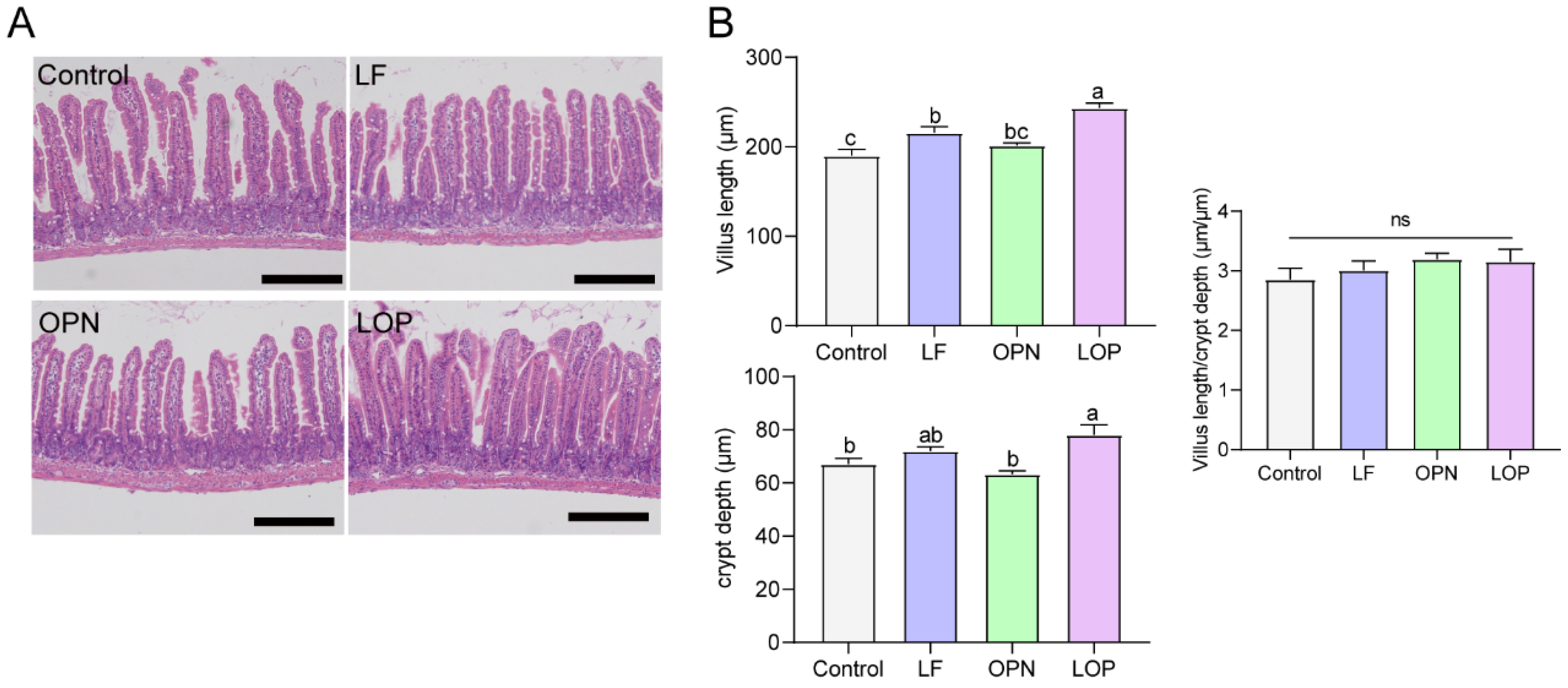 Nutrients 17 03176 g002