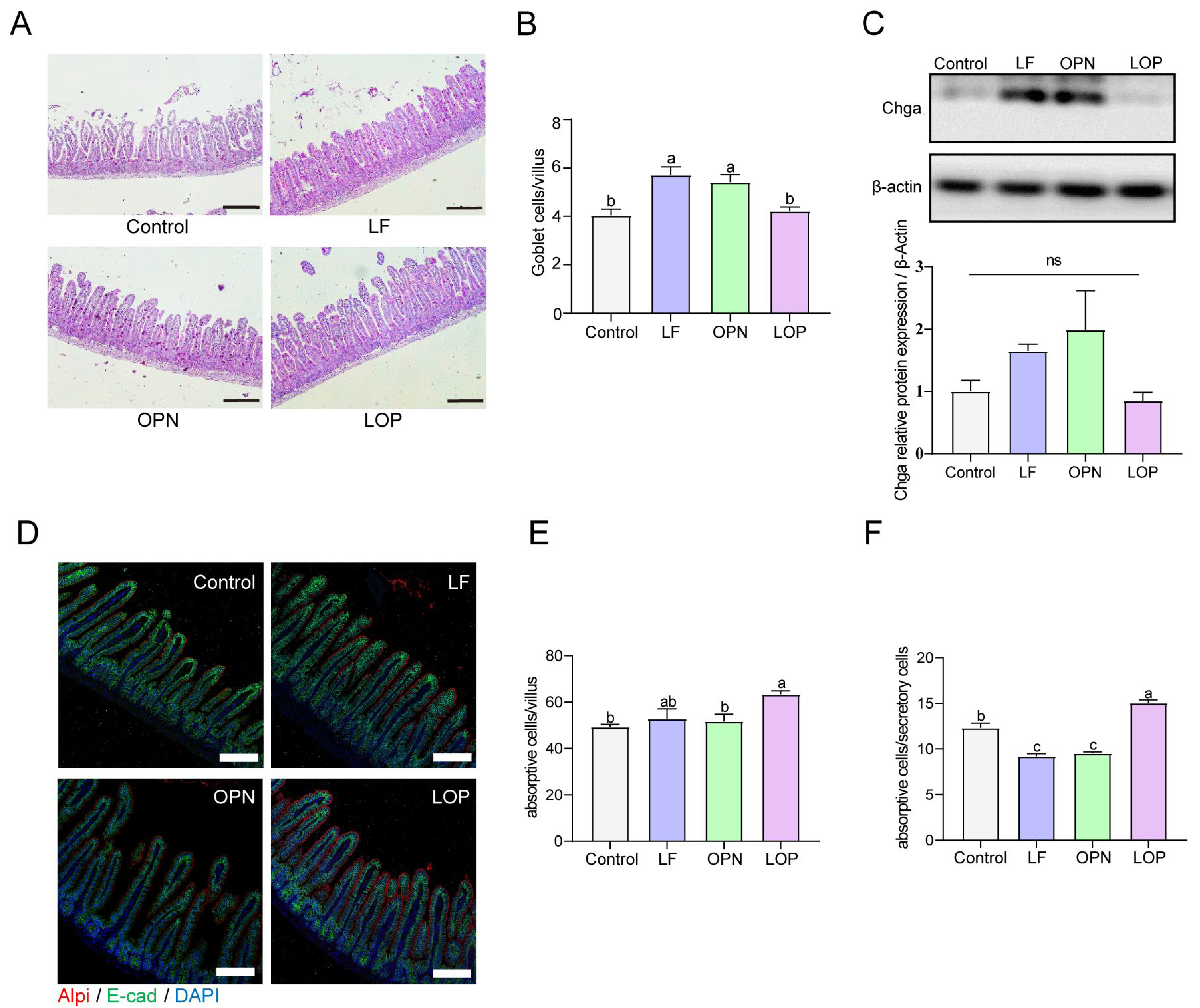 Nutrients 17 03176 g003