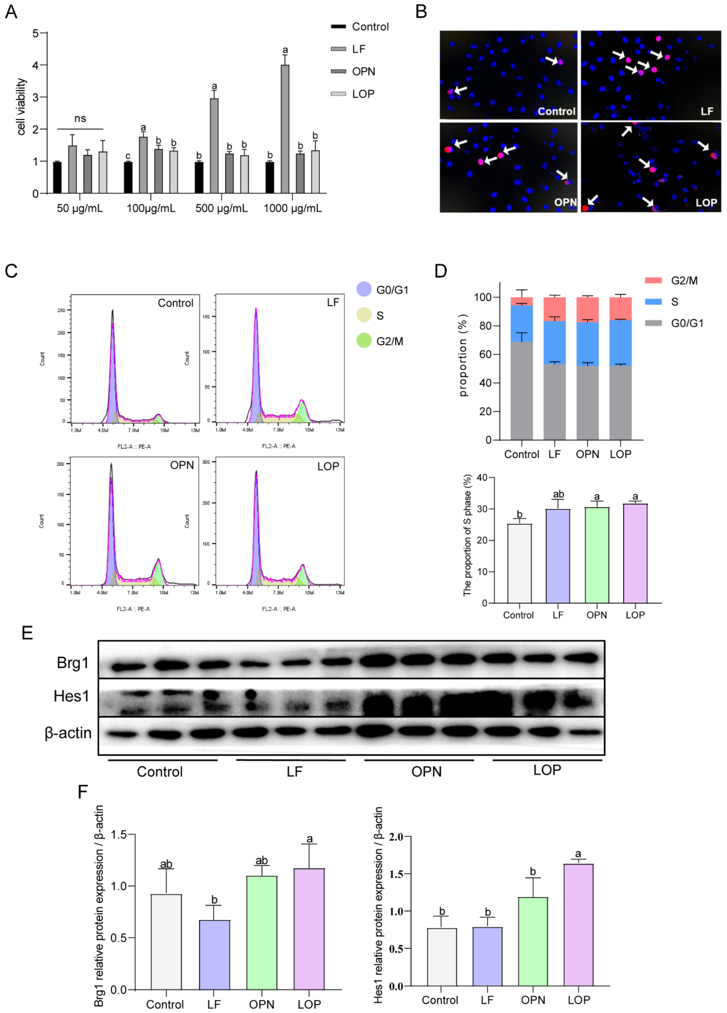 Nutrients 17 03176 g006