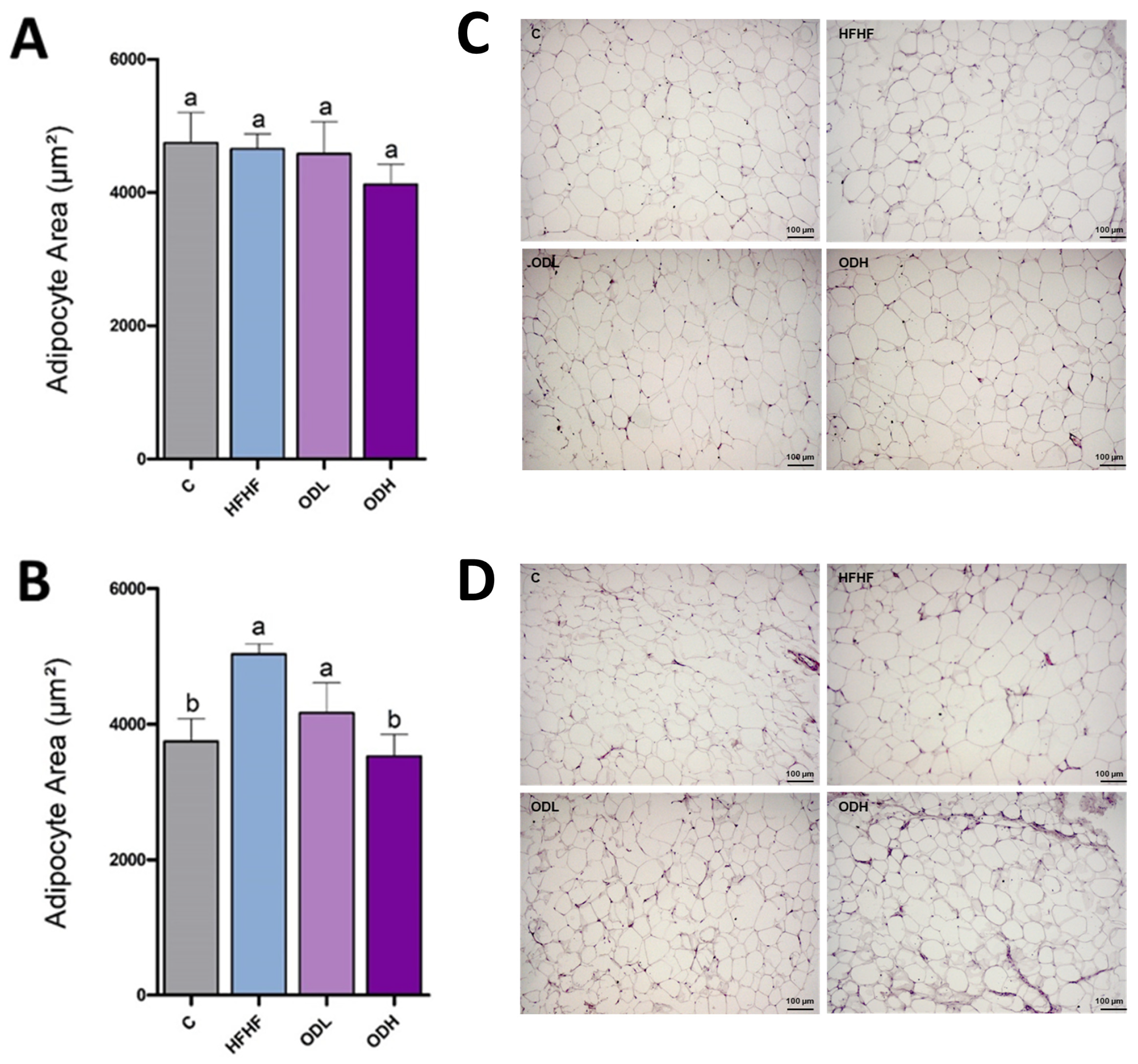 Nutrients 17 03178 g003
