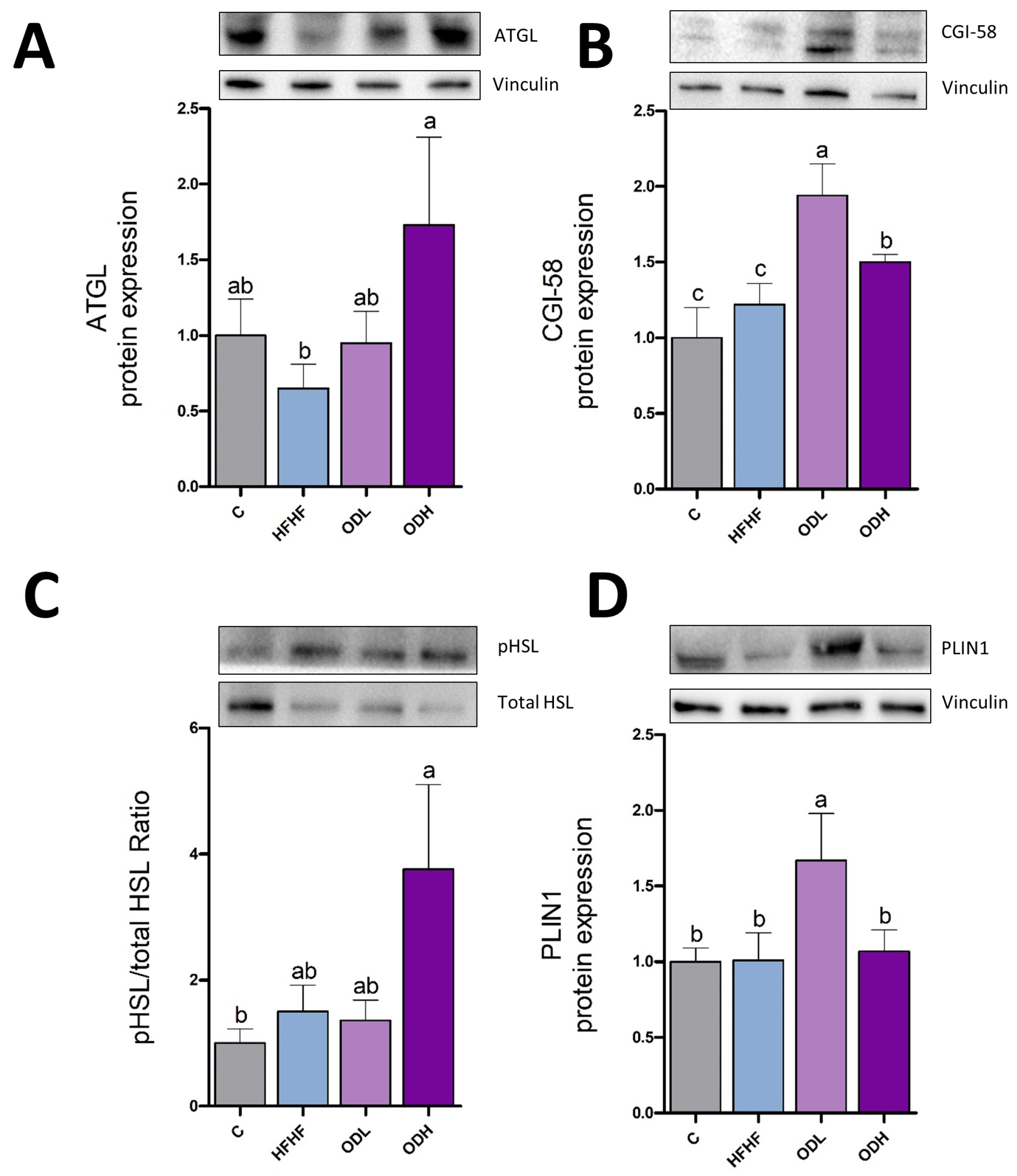 Nutrients 17 03178 g007