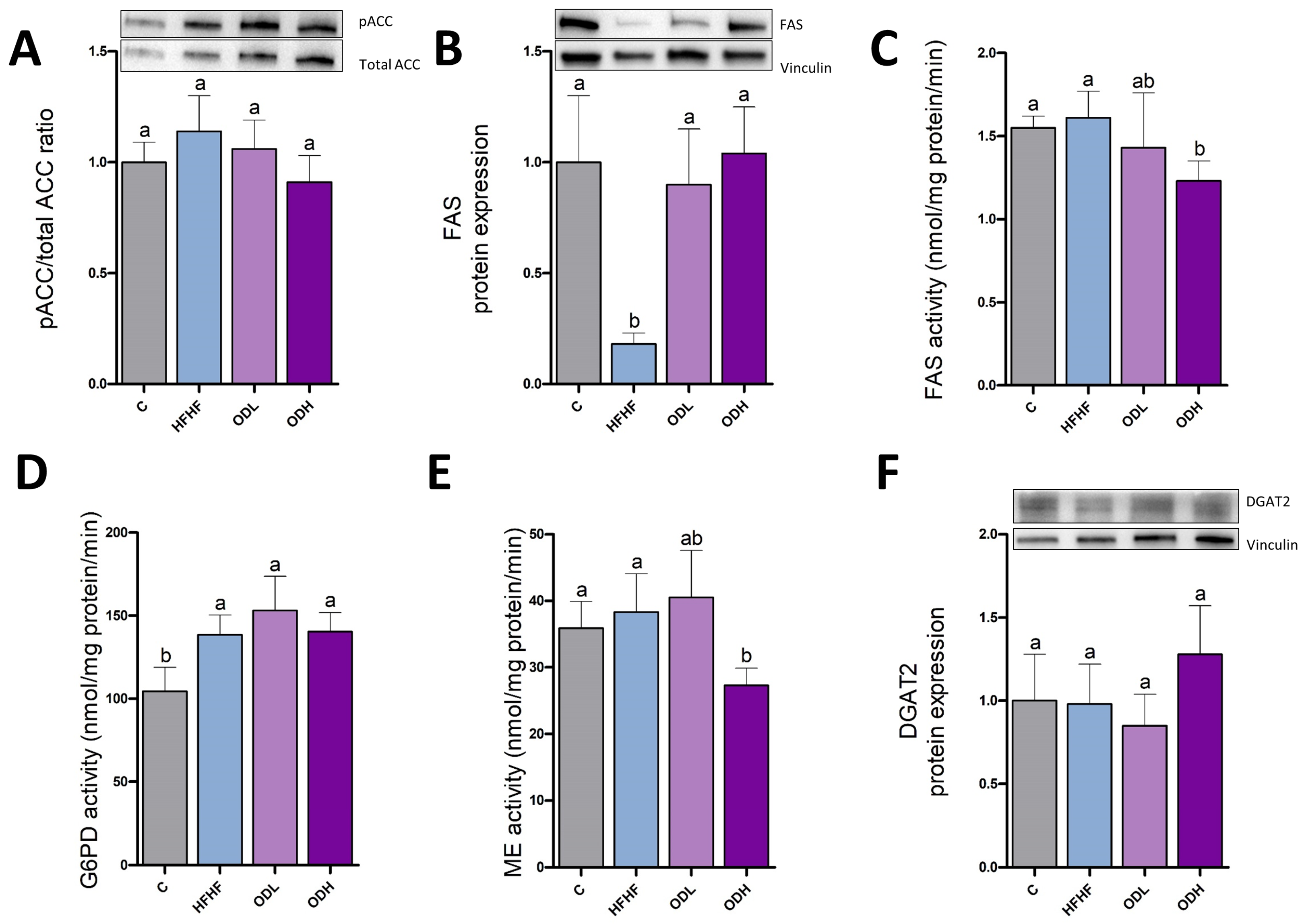 Nutrients 17 03178 g008