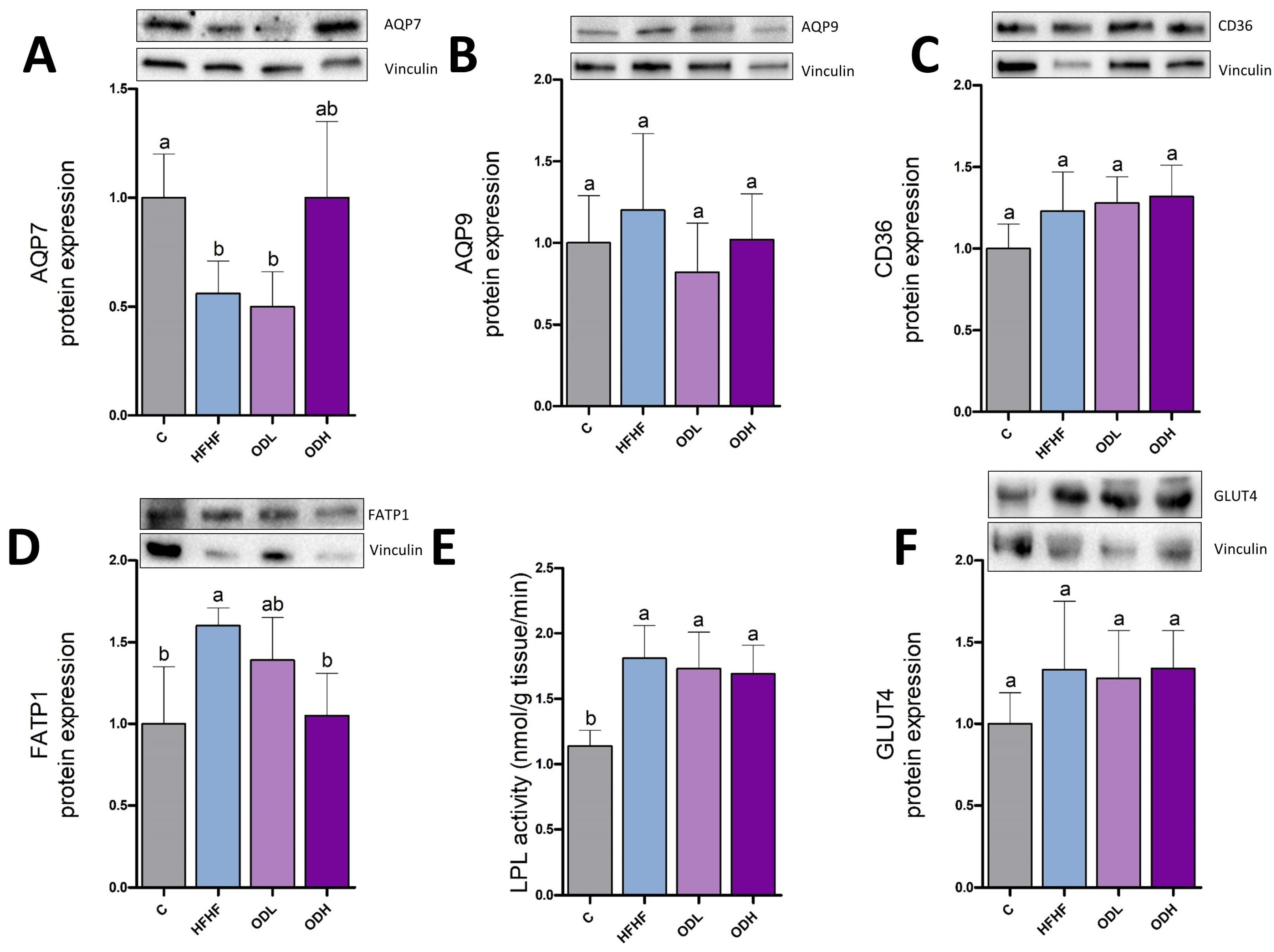 Nutrients 17 03178 g009