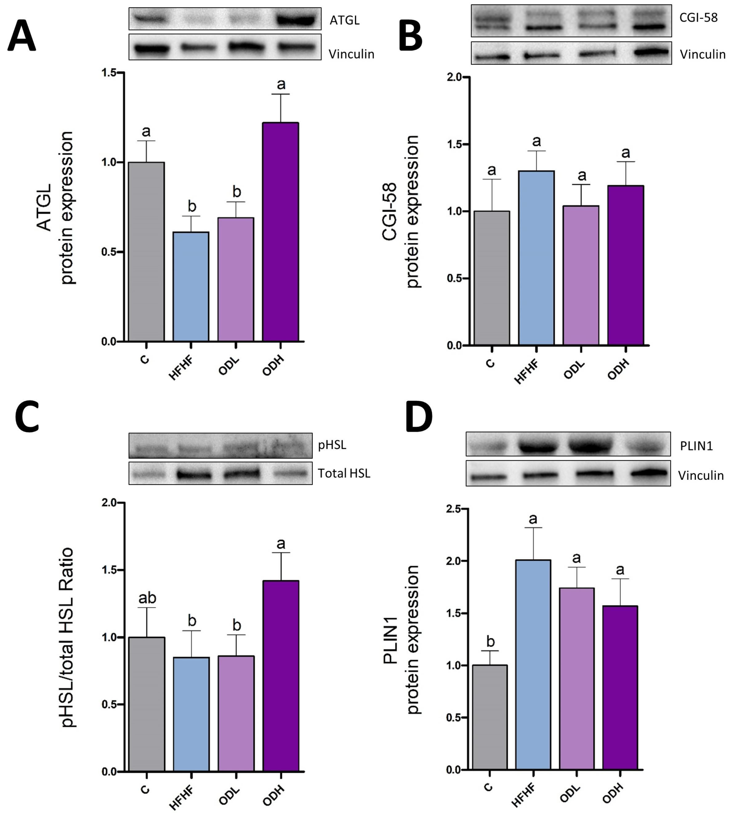 Nutrients 17 03178 g010