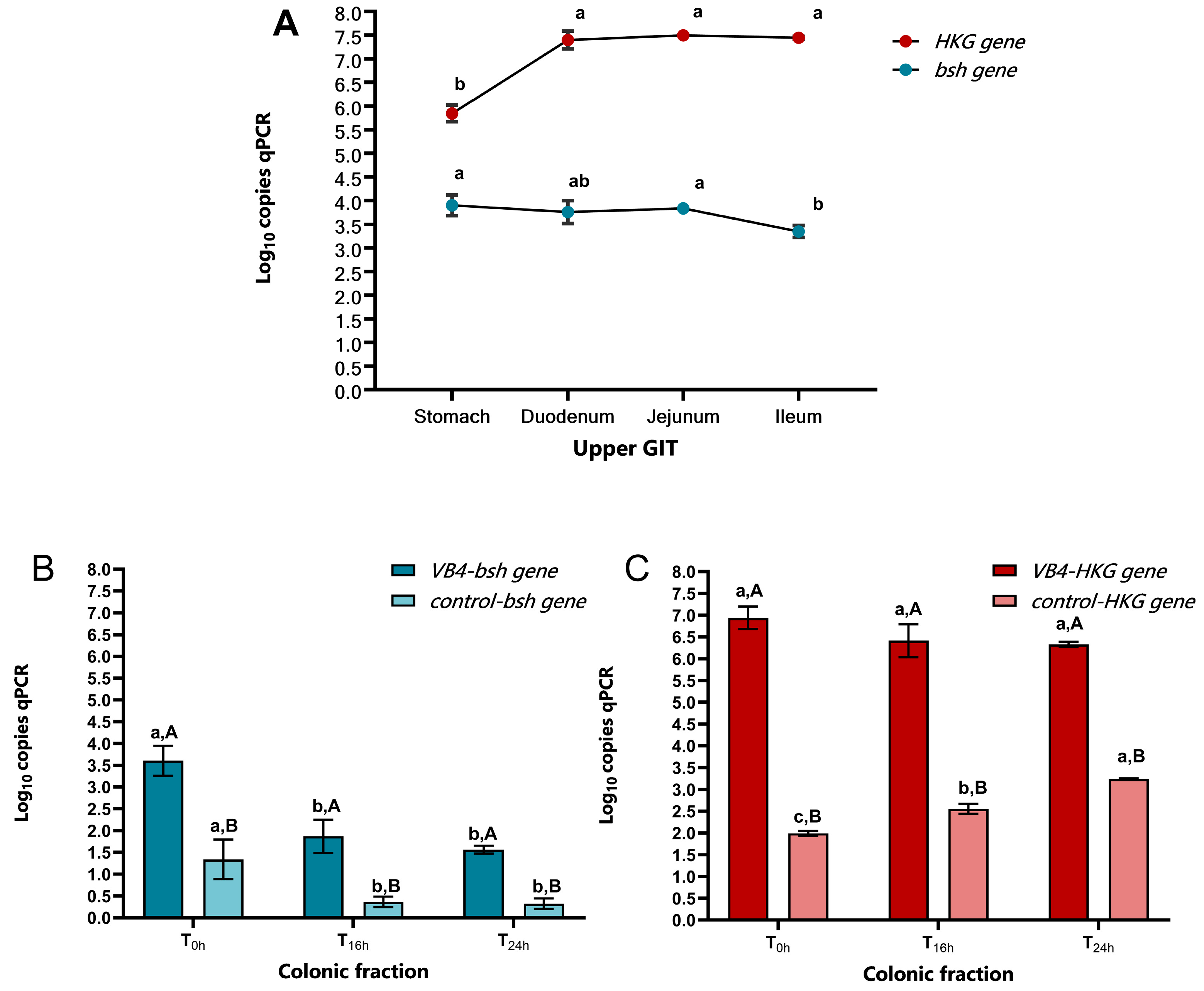 Nutrients 17 03179 g003 Nutrients 17 03179 g003