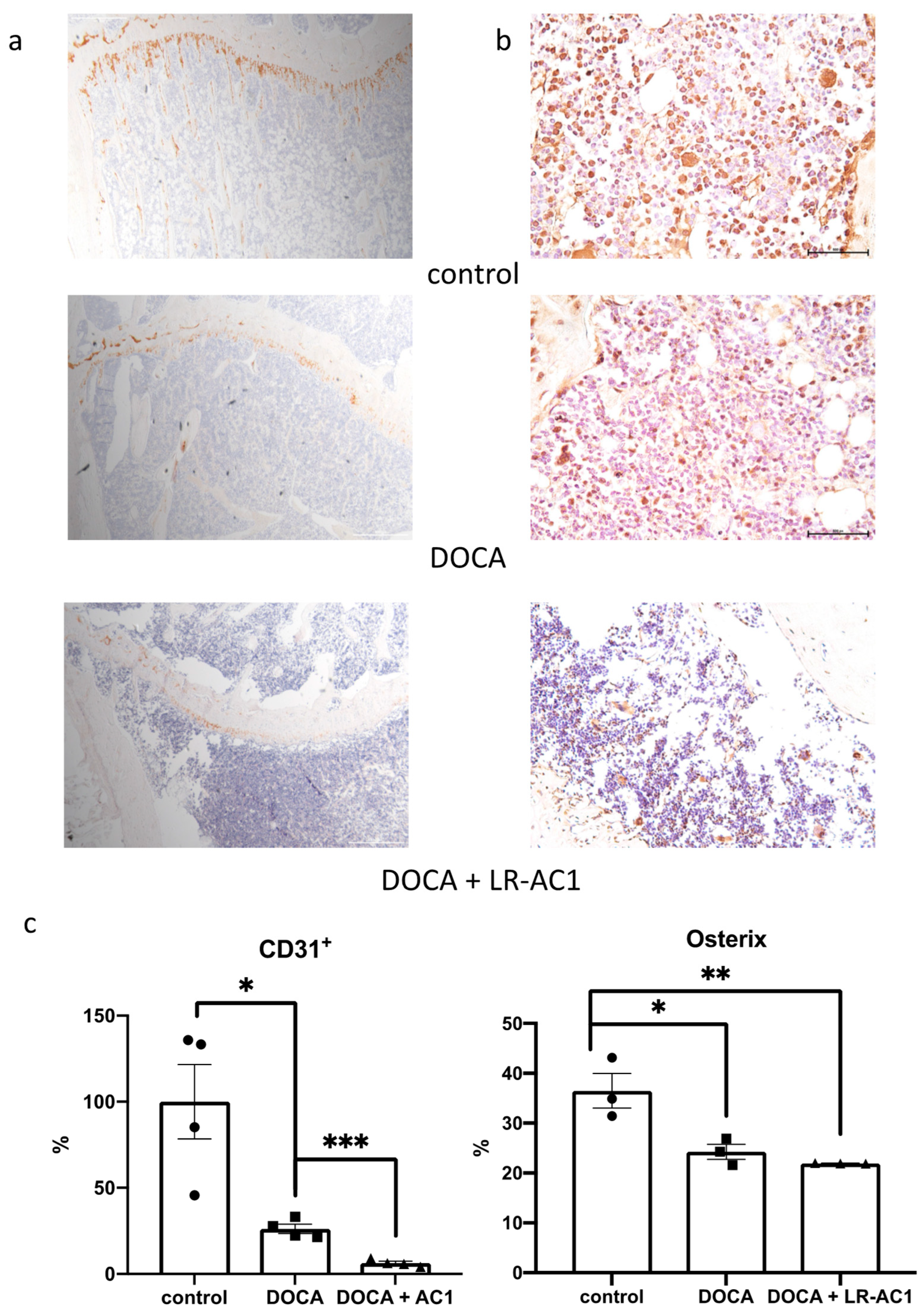 Nutrients 17 03198 g003
