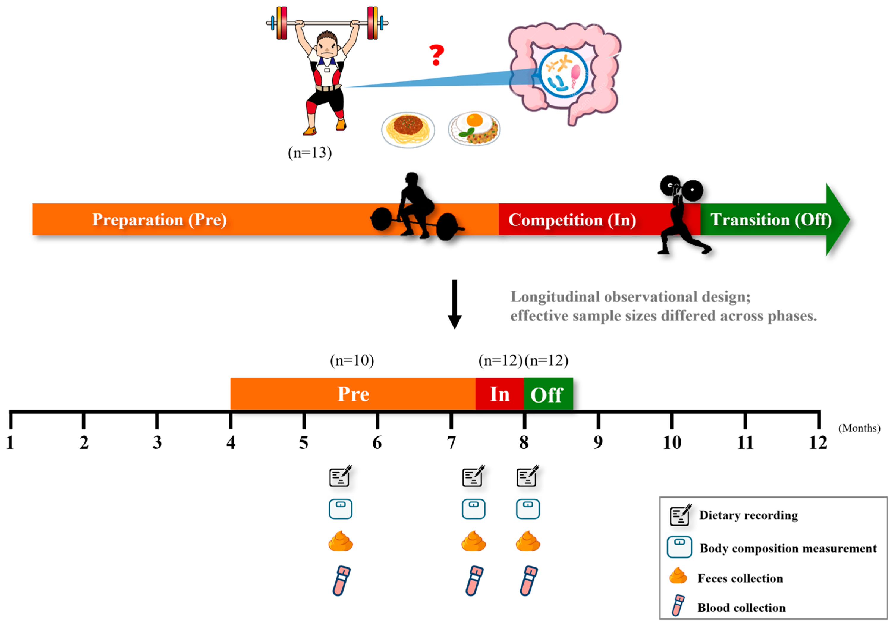 Nutrients 17 03199 g001