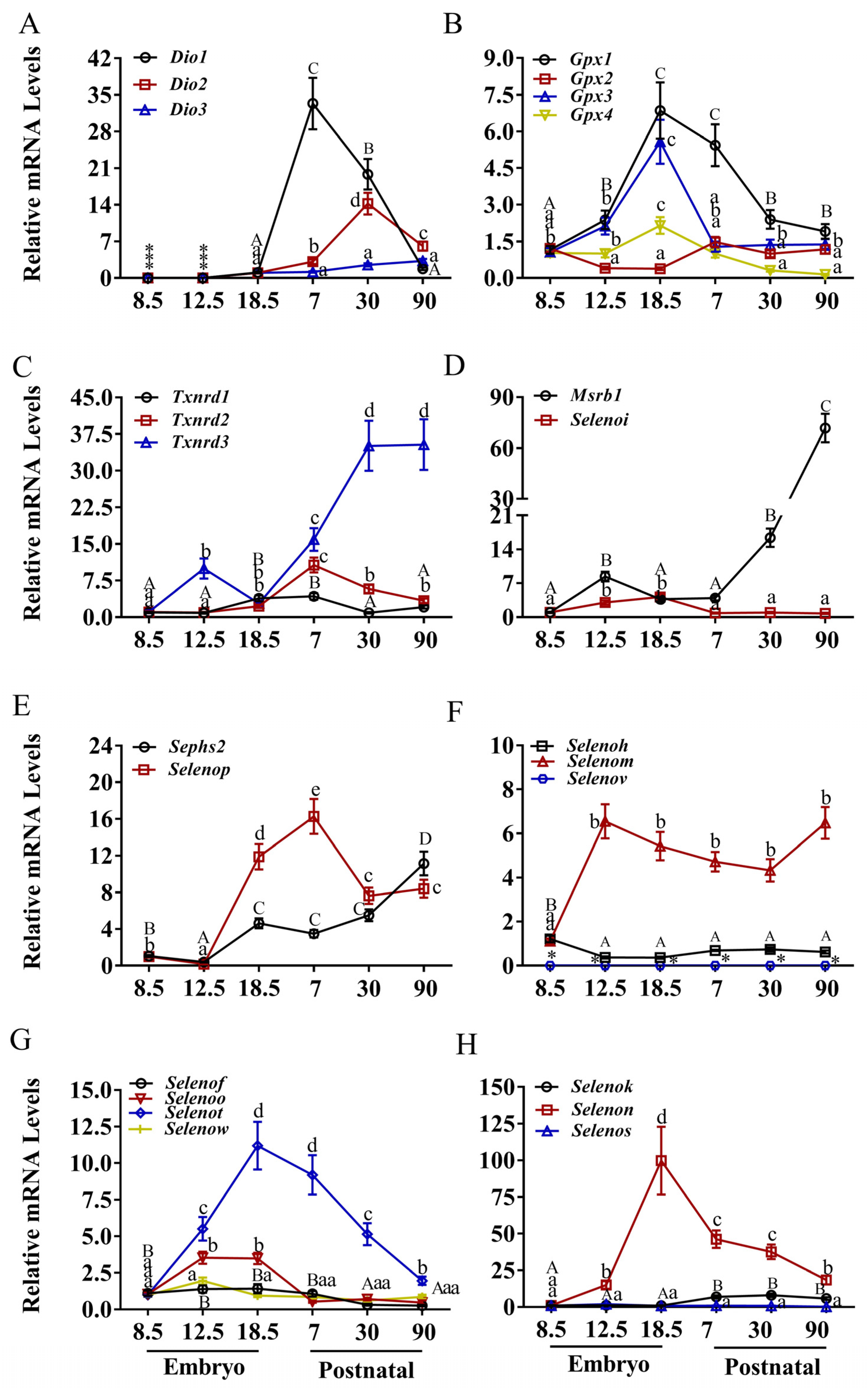 Nutrients 17 03200 g001 Nutrients 17 03200 g001