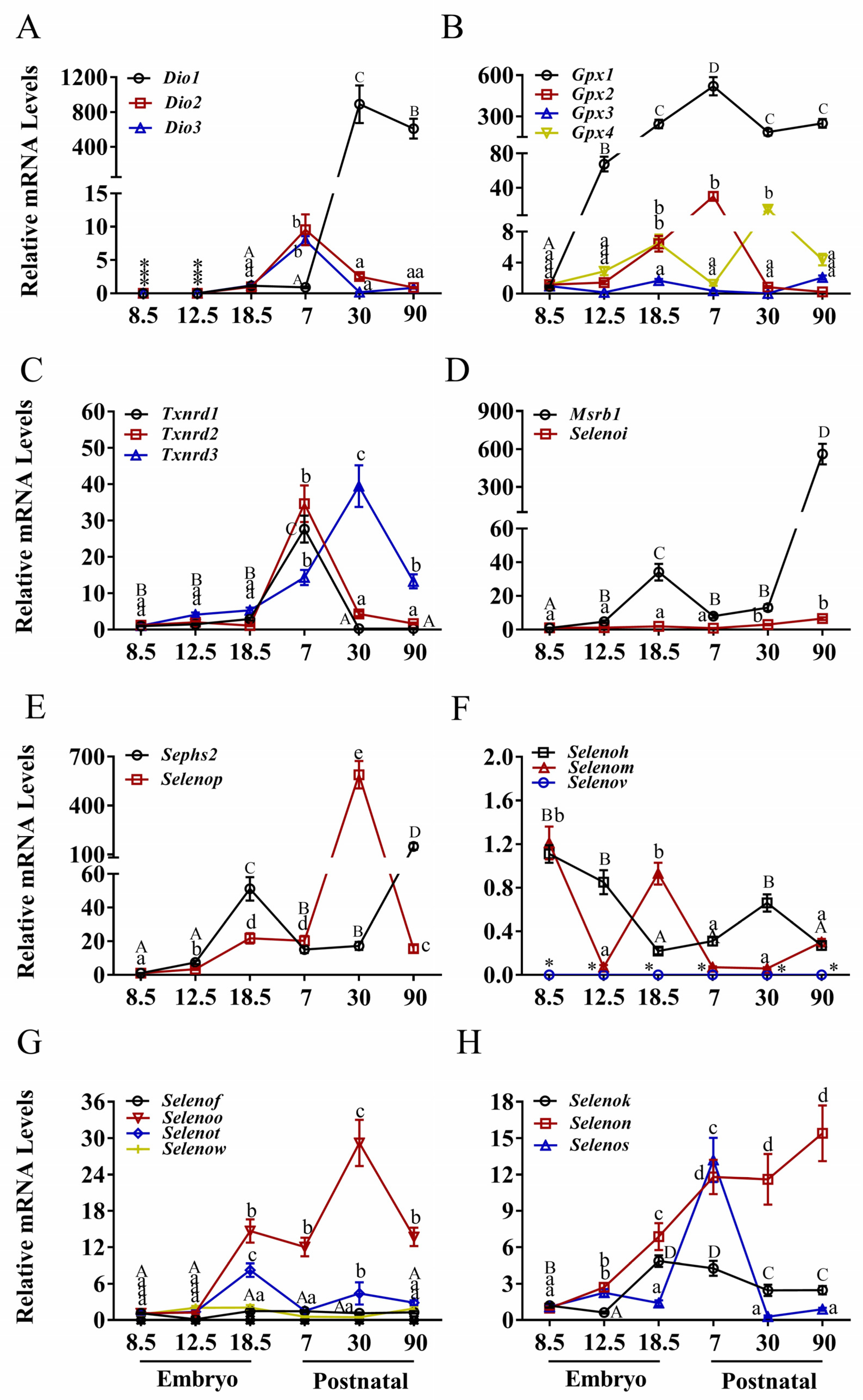 Nutrients 17 03200 g003 Nutrients 17 03200 g003