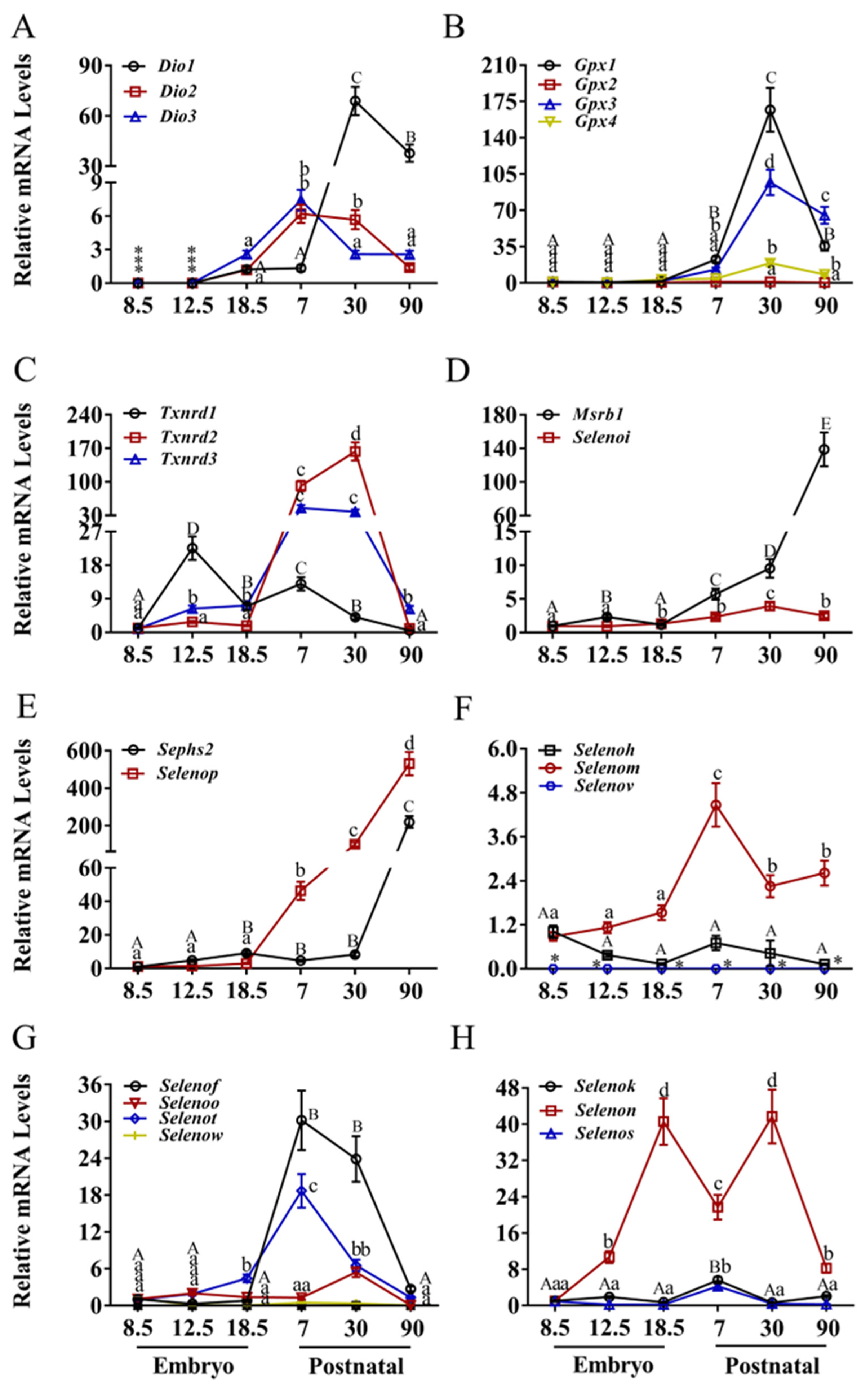 Nutrients 17 03200 g004 Nutrients 17 03200 g004