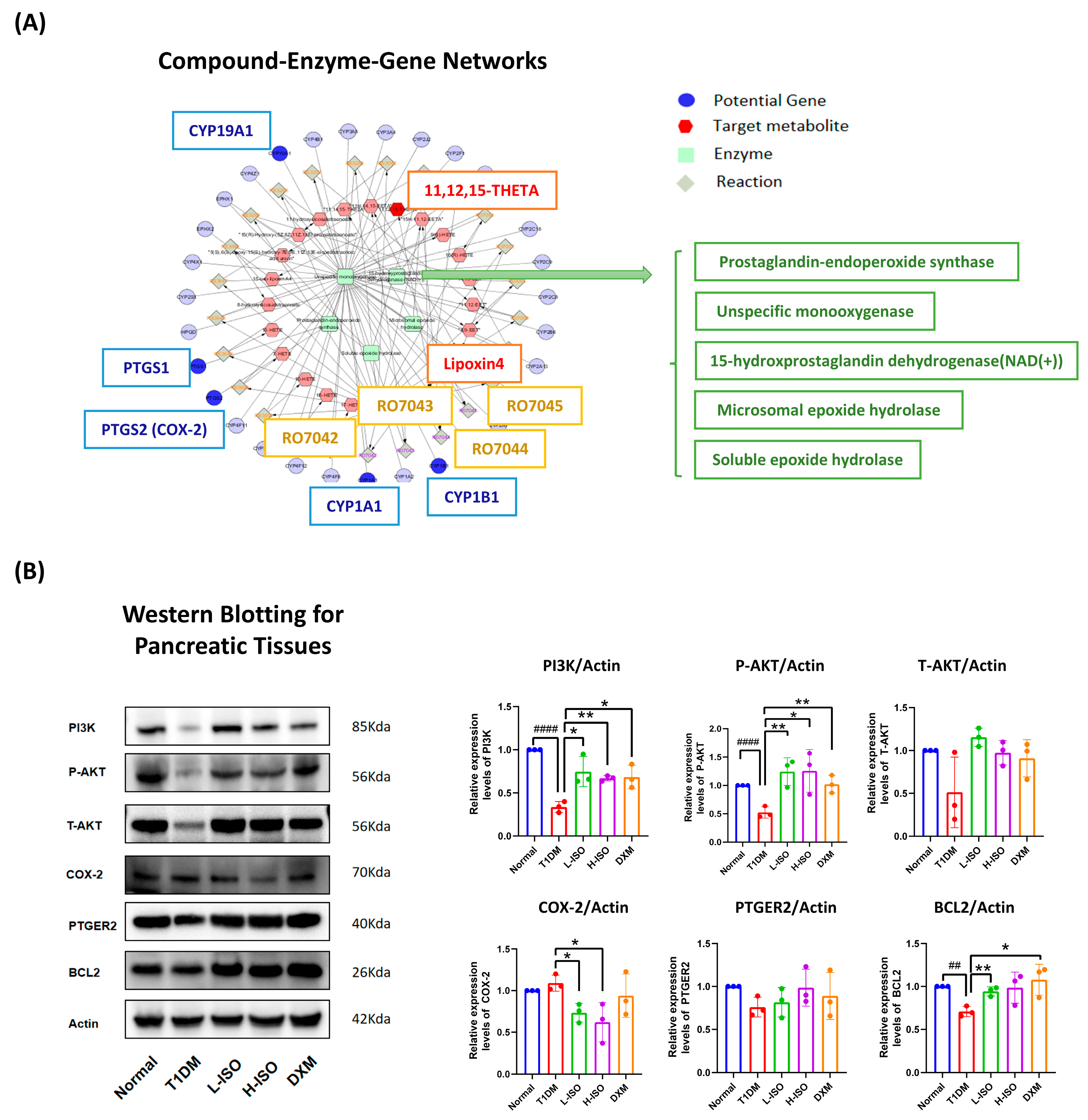 Nutrients 17 03201 g004 Nutrients 17 03201 g004