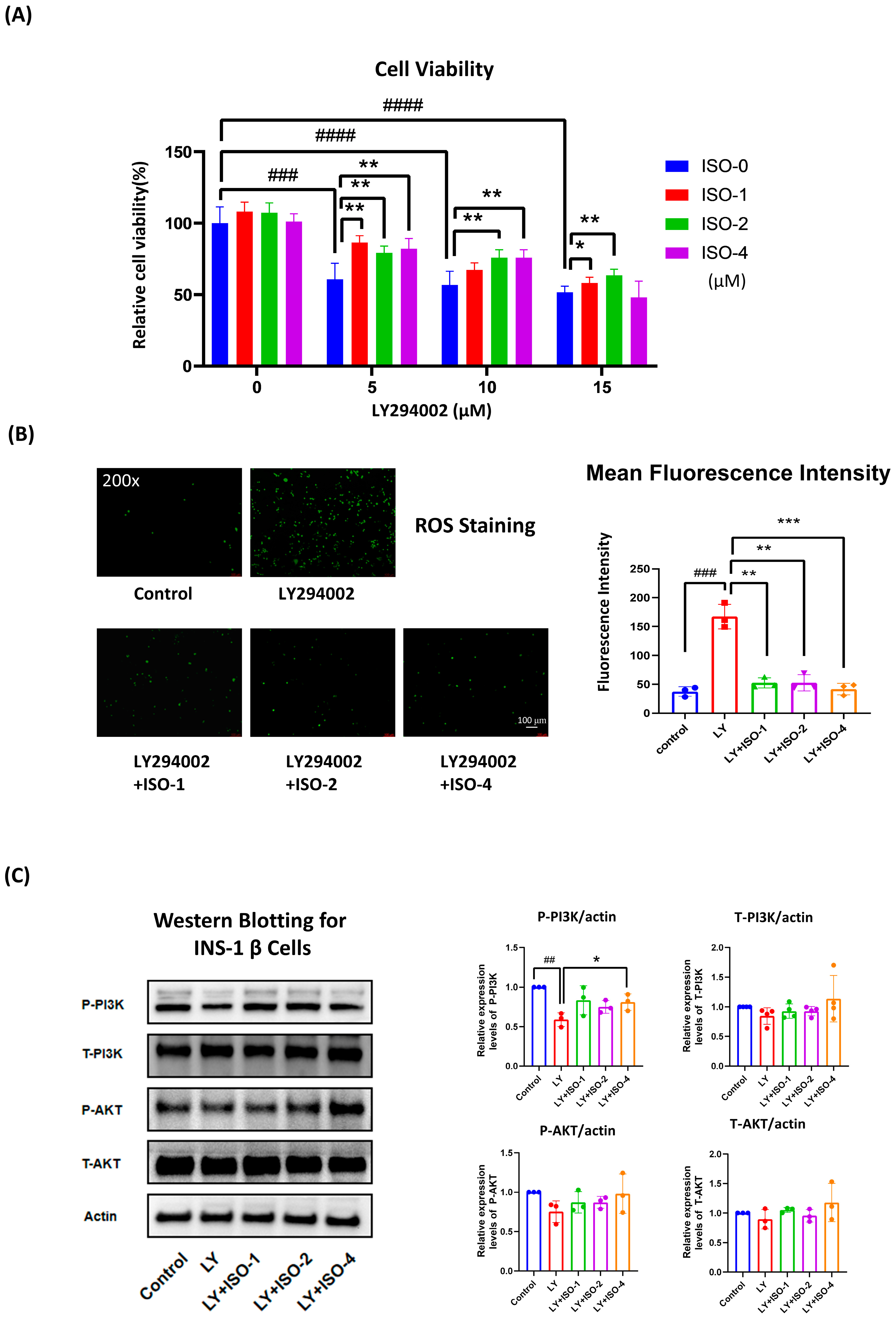 Nutrients 17 03201 g005 Nutrients 17 03201 g005