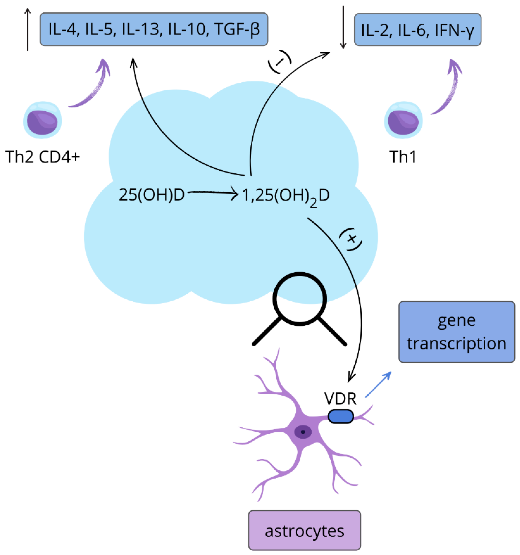 Nutrients 17 03202 g001