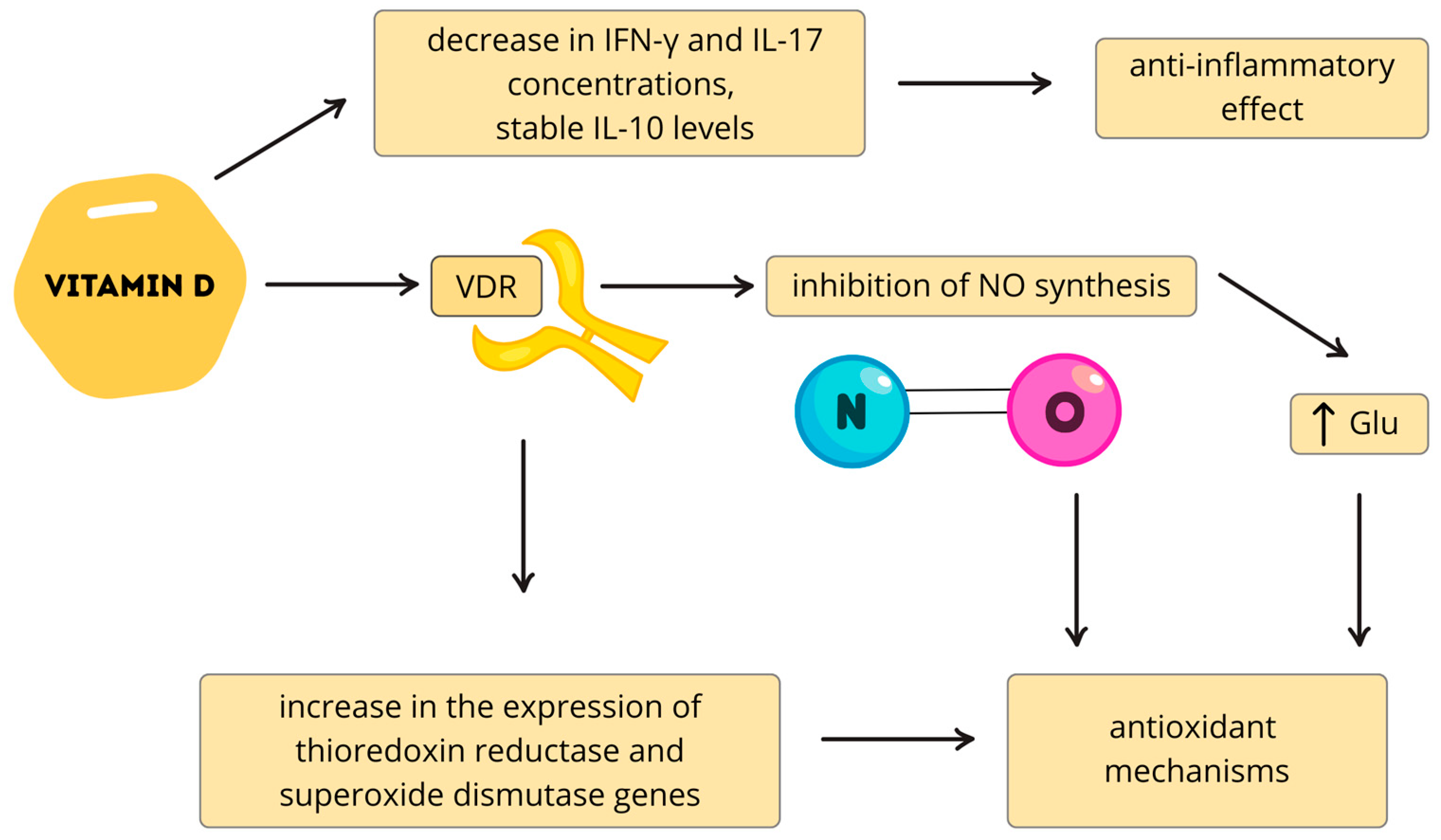 Nutrients 17 03202 g003