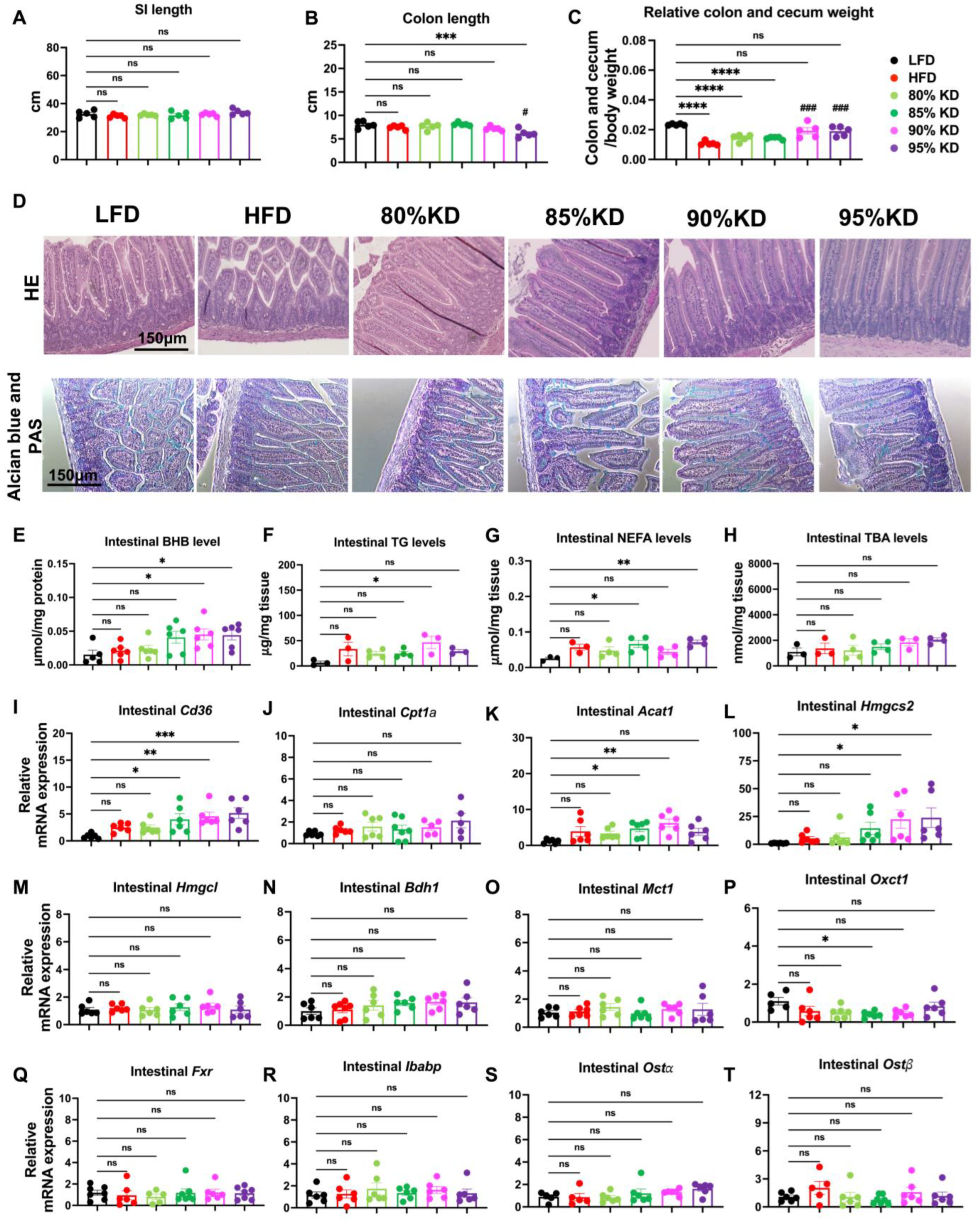 Nutrients 17 03203 g003 Nutrients 17 03203 g003