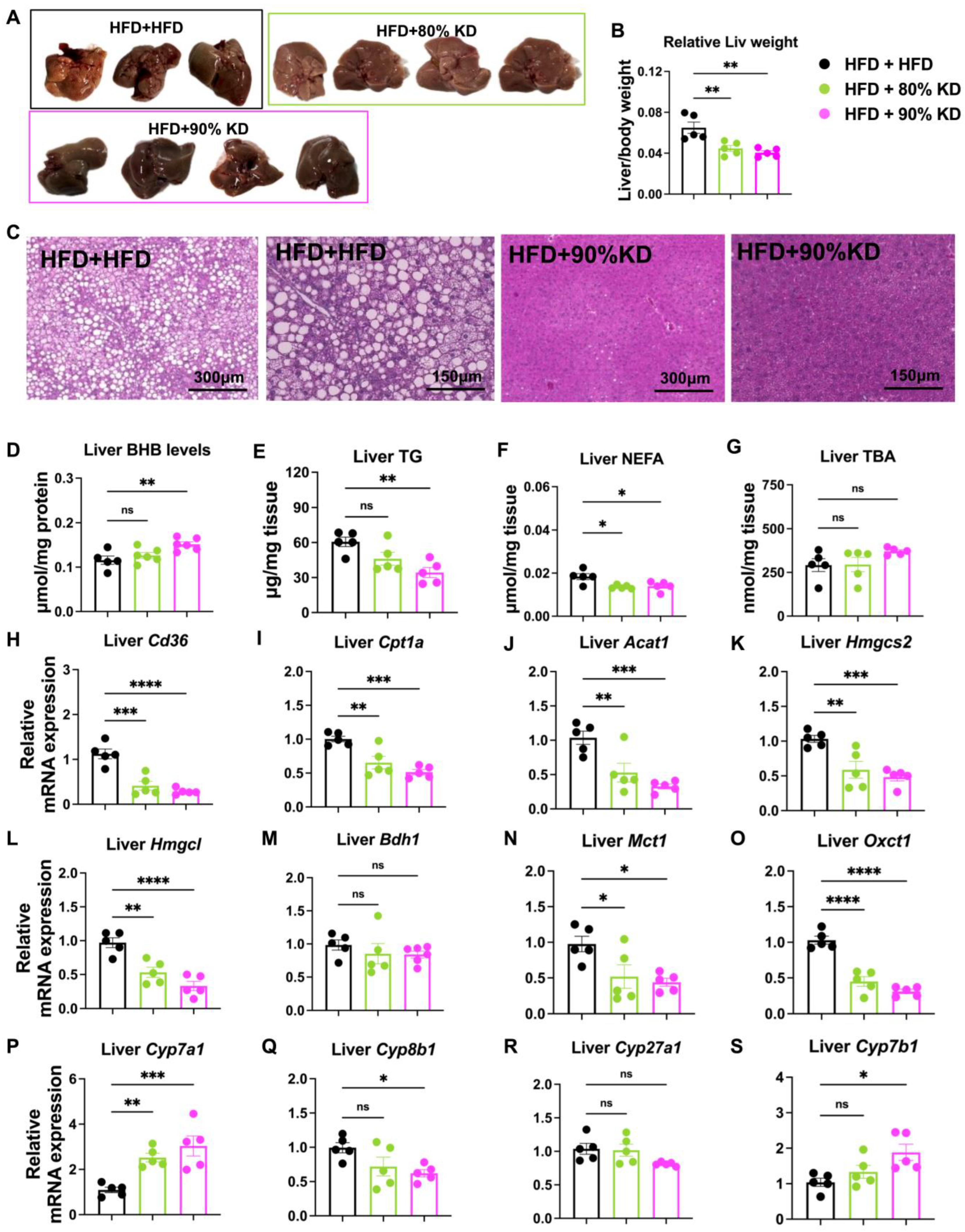 Nutrients 17 03203 g005 Nutrients 17 03203 g005