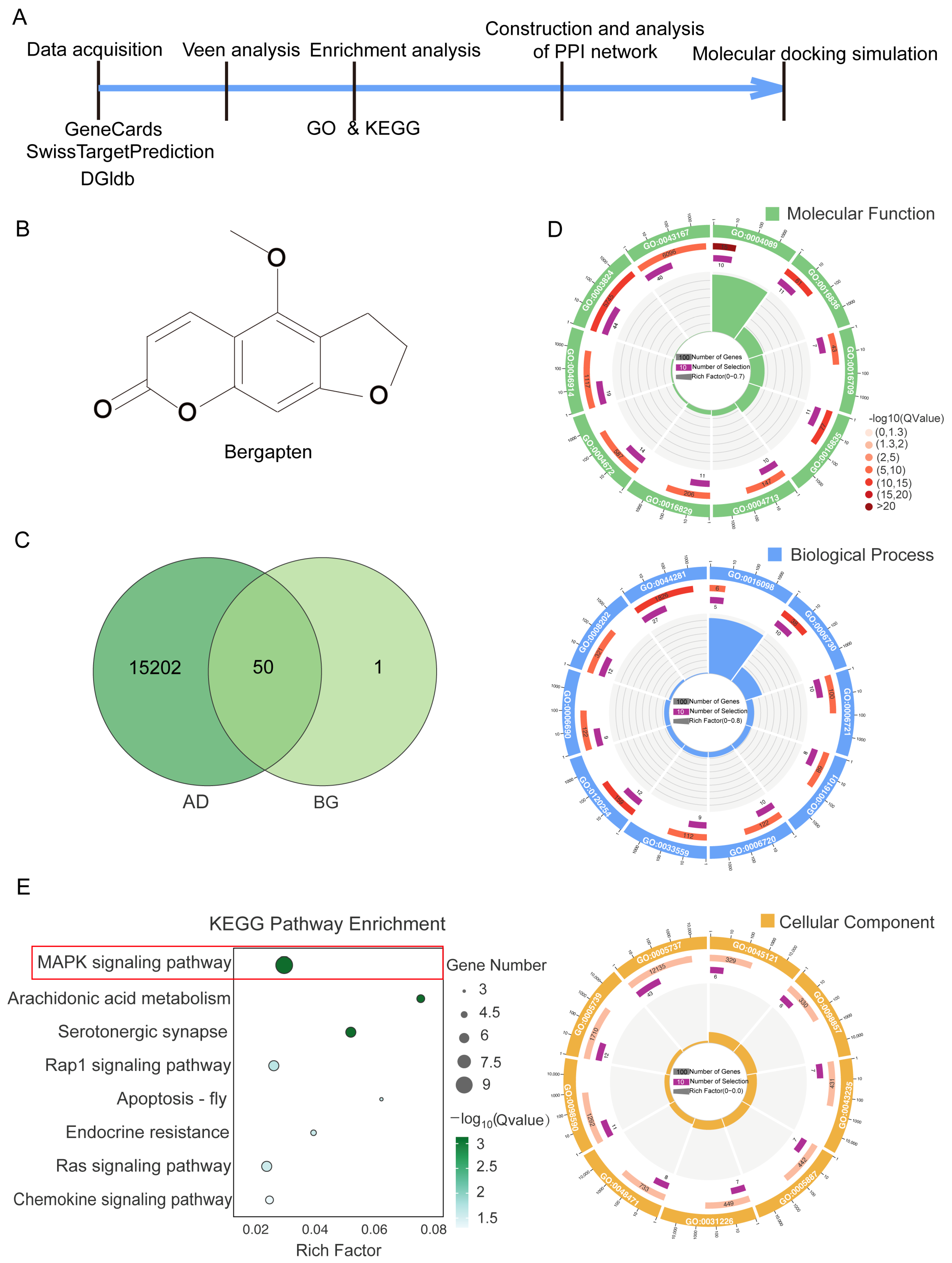Nutrients 17 03218 g001
