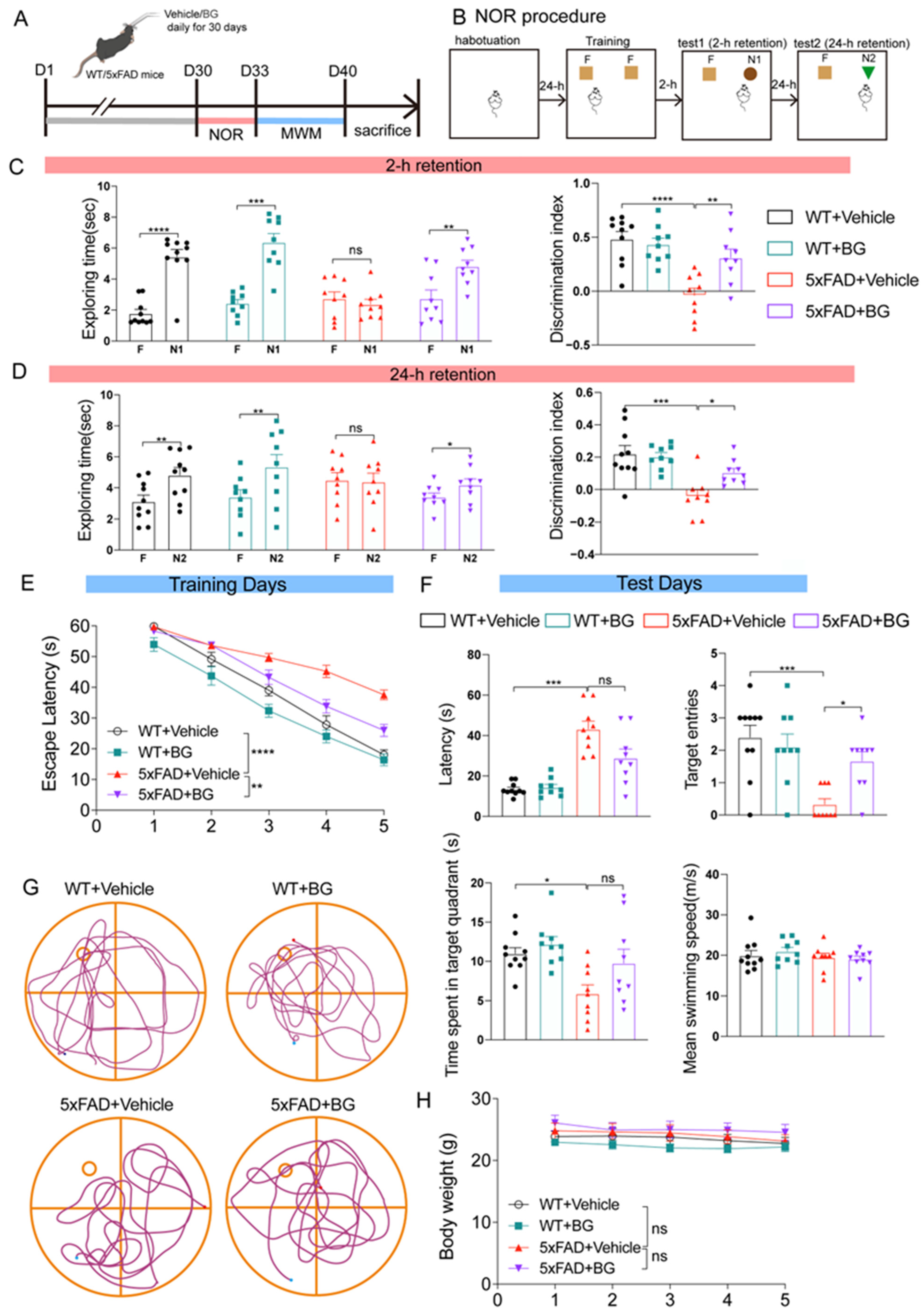 Nutrients 17 03218 g003