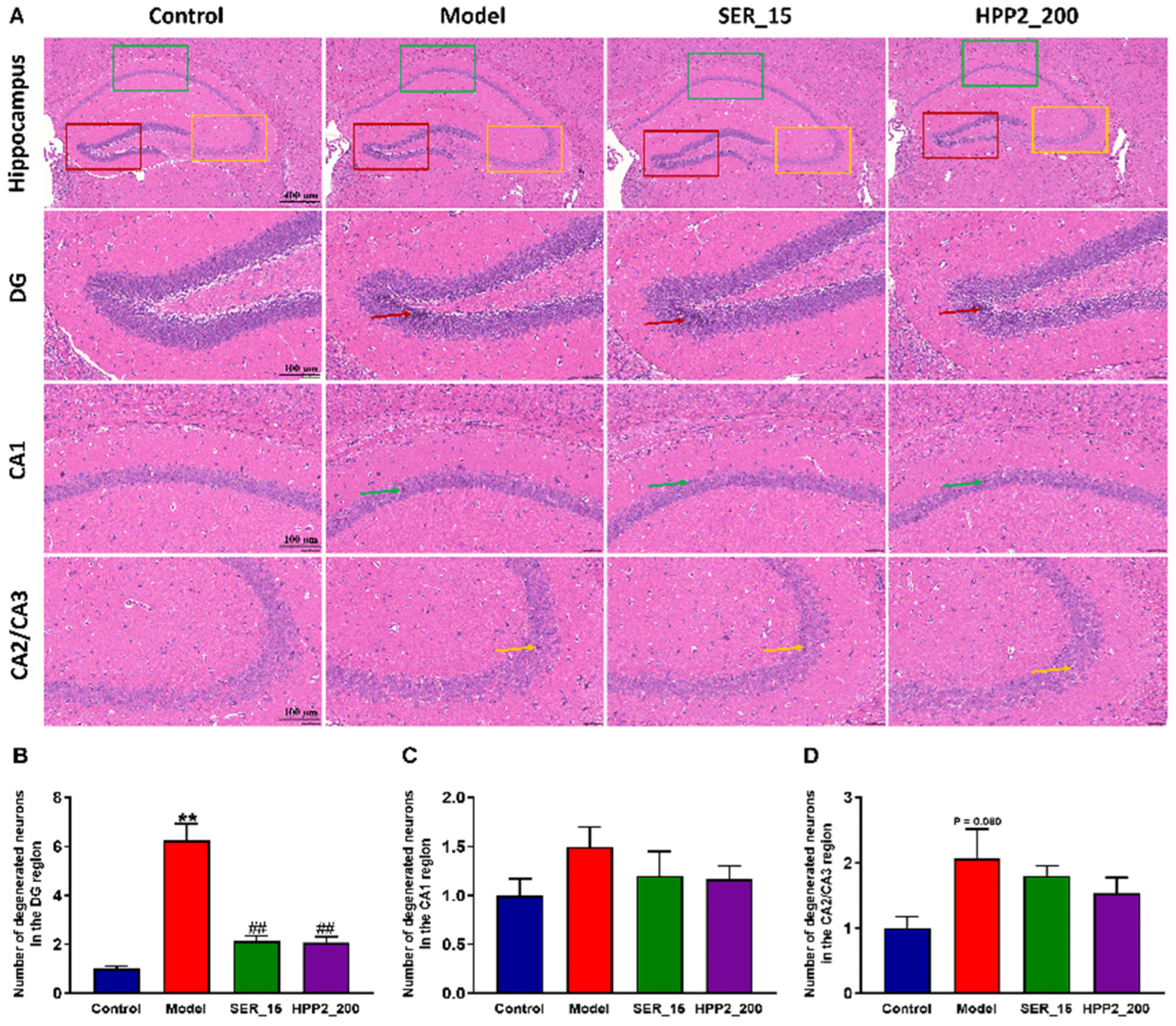 Nutrients 17 03222 g006