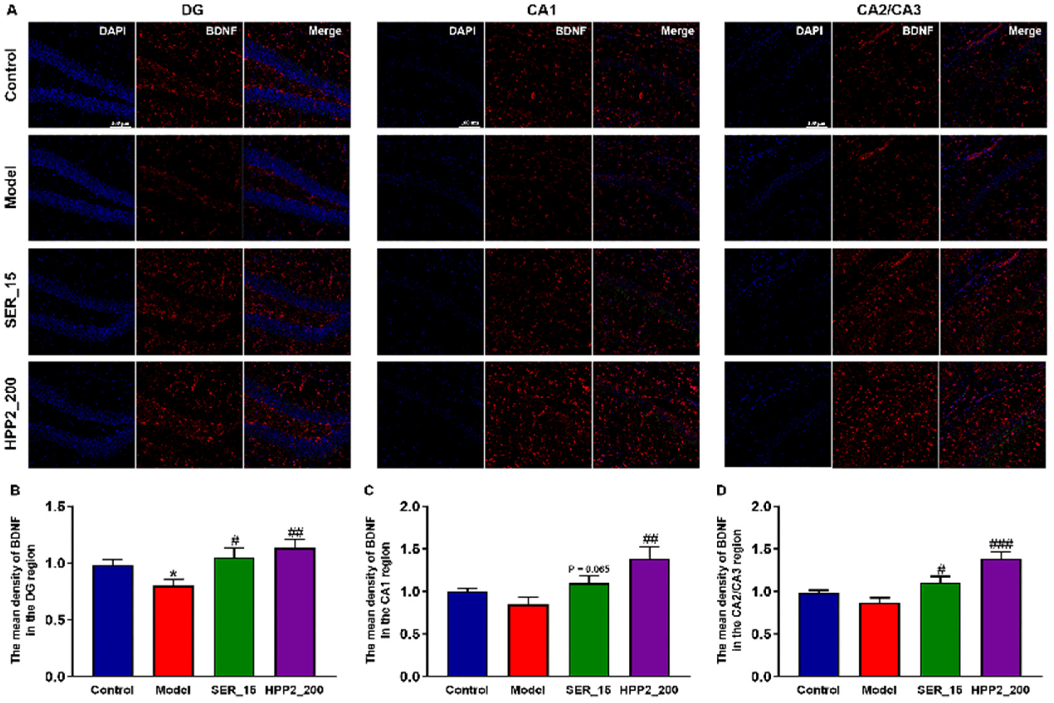 Nutrients 17 03222 g007
