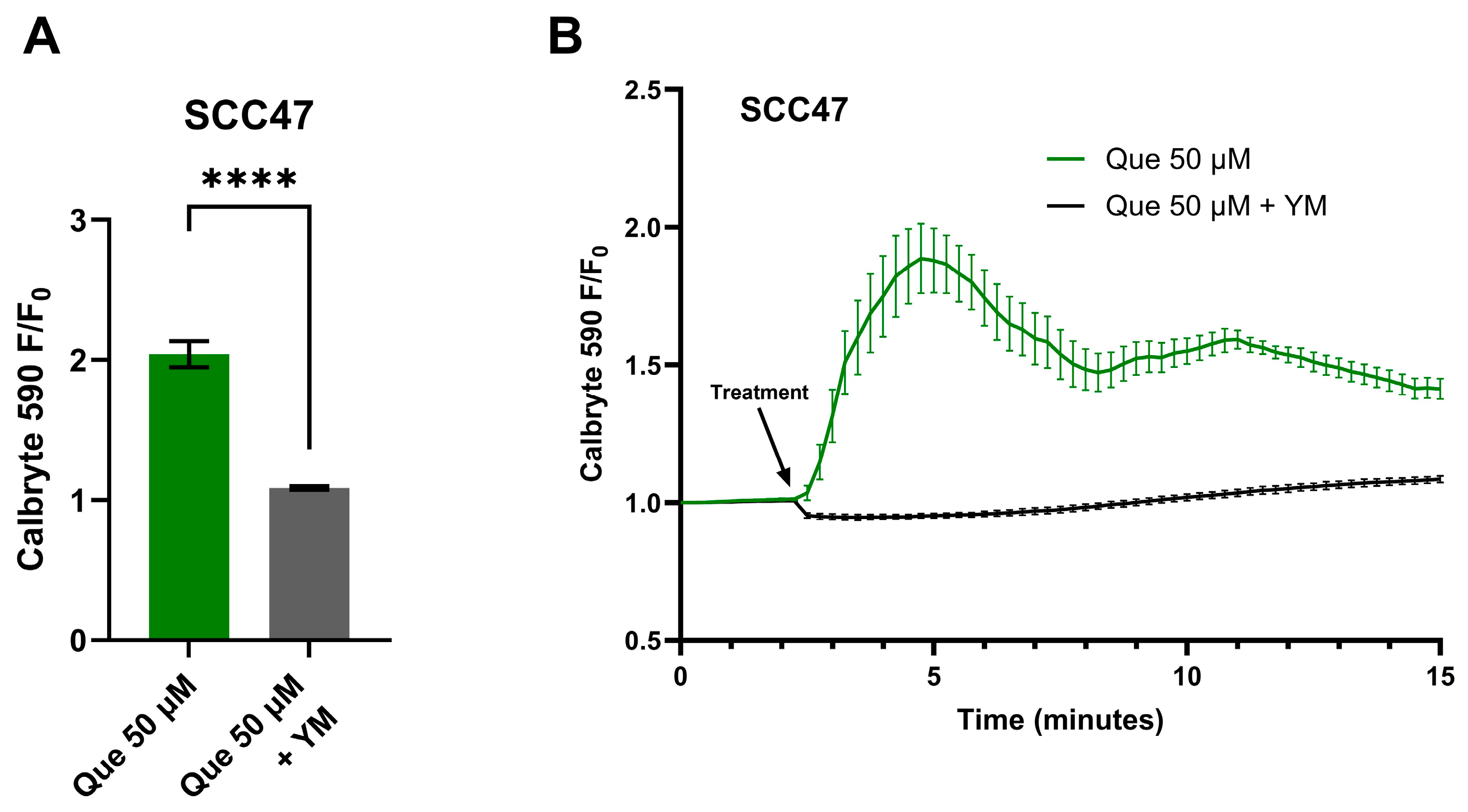 Nutrients 17 03224 g002