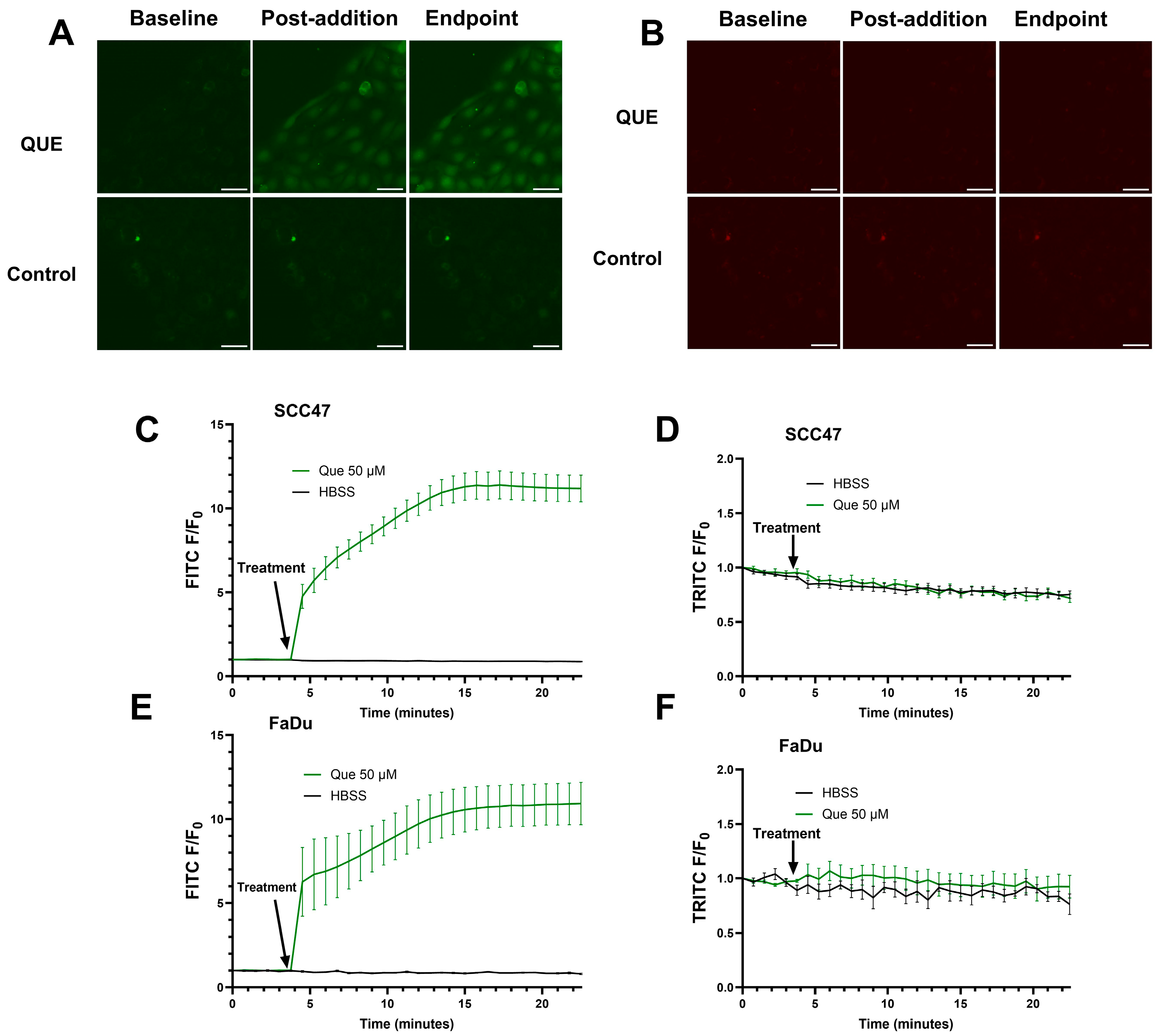 Nutrients 17 03224 g003