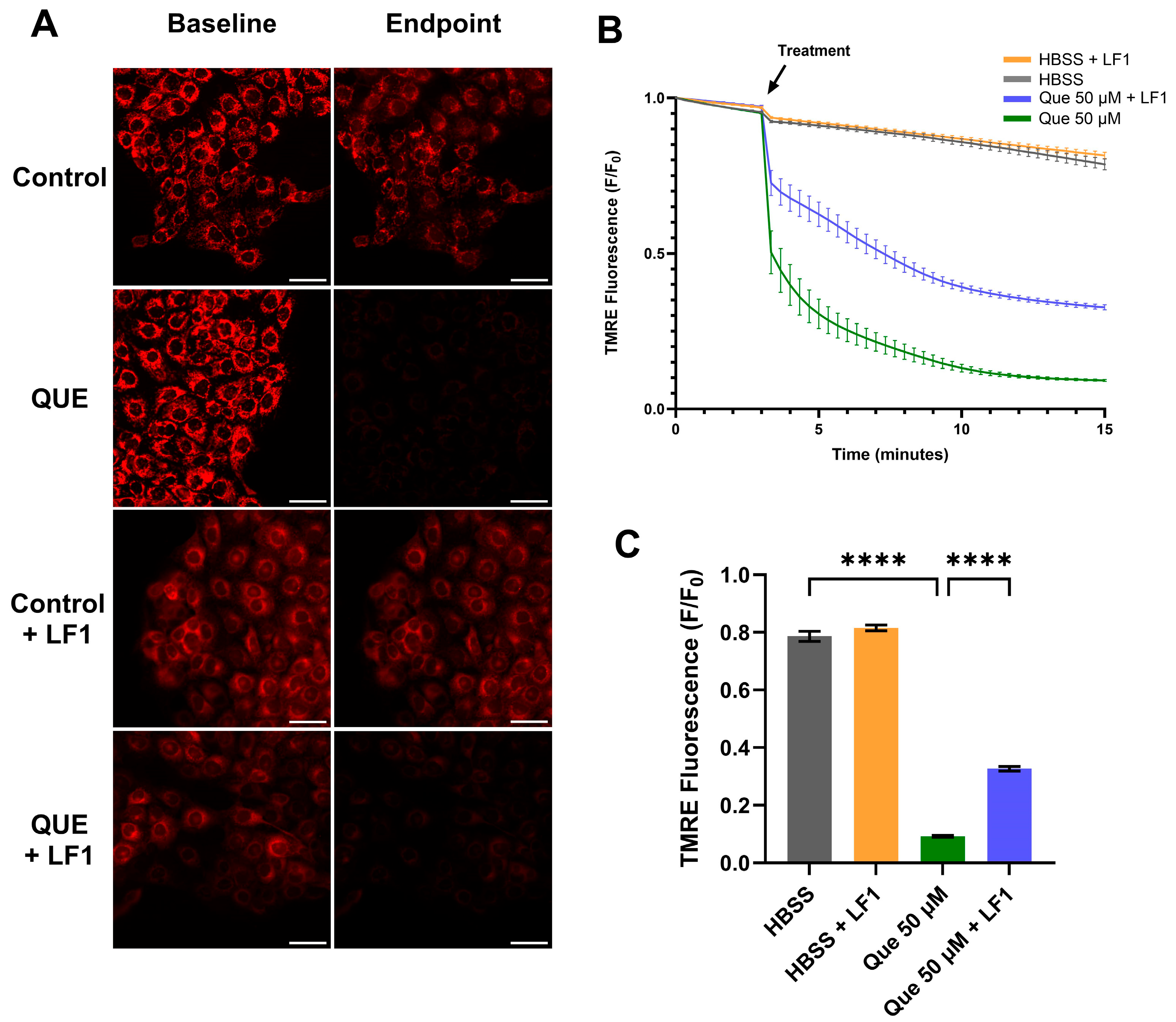 Nutrients 17 03224 g005