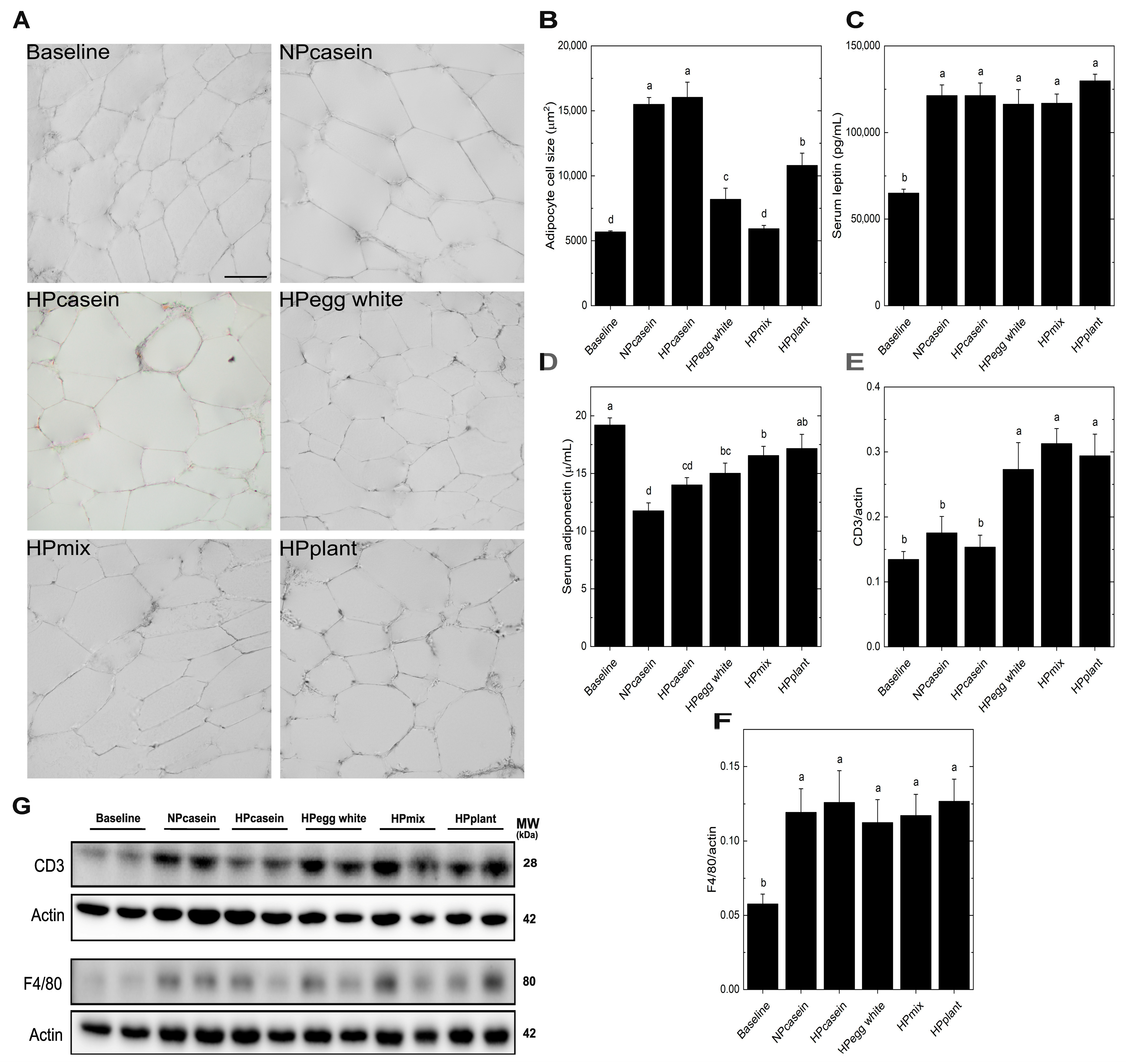 Nutrients 17 03225 g002