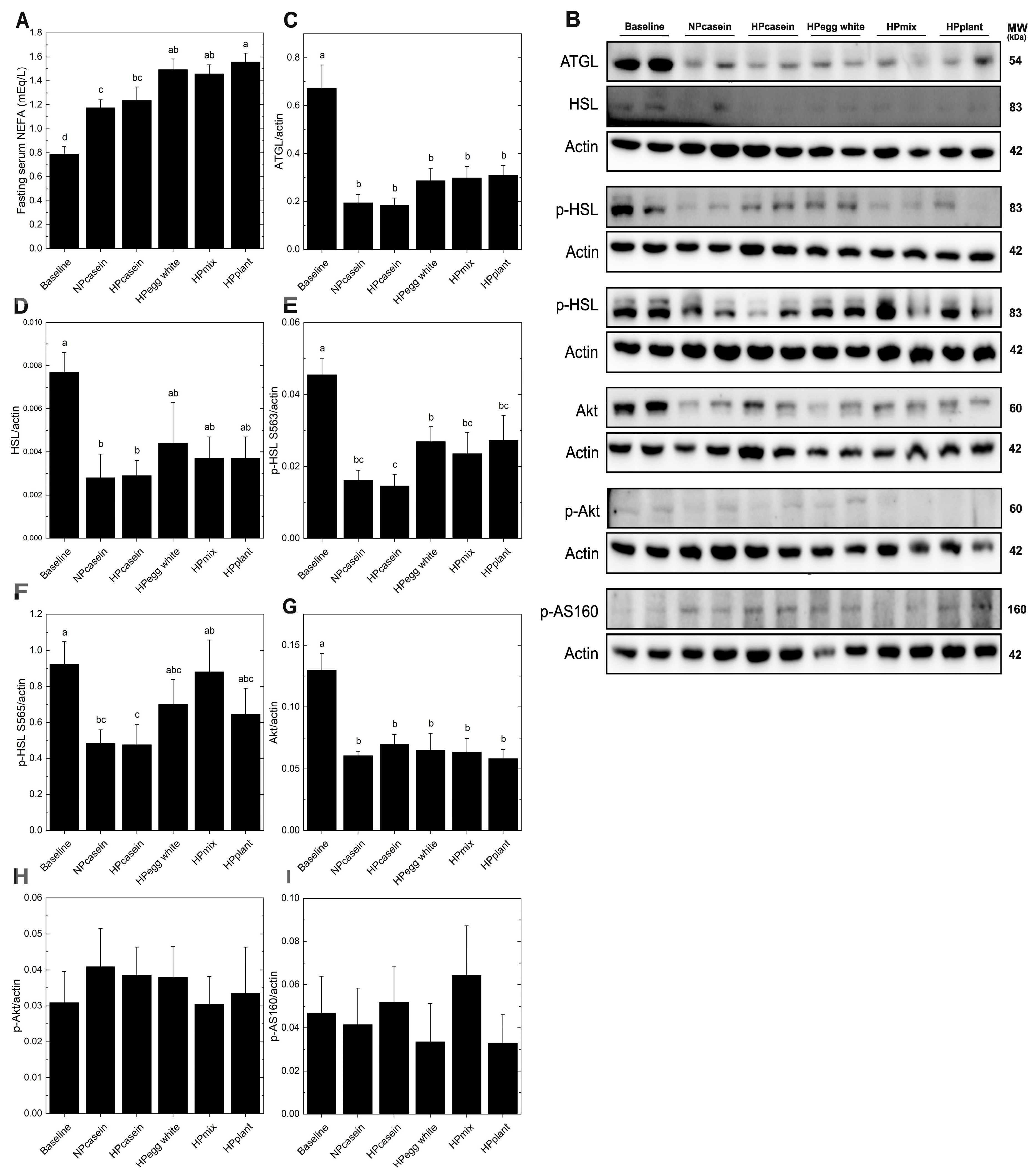Nutrients 17 03225 g003