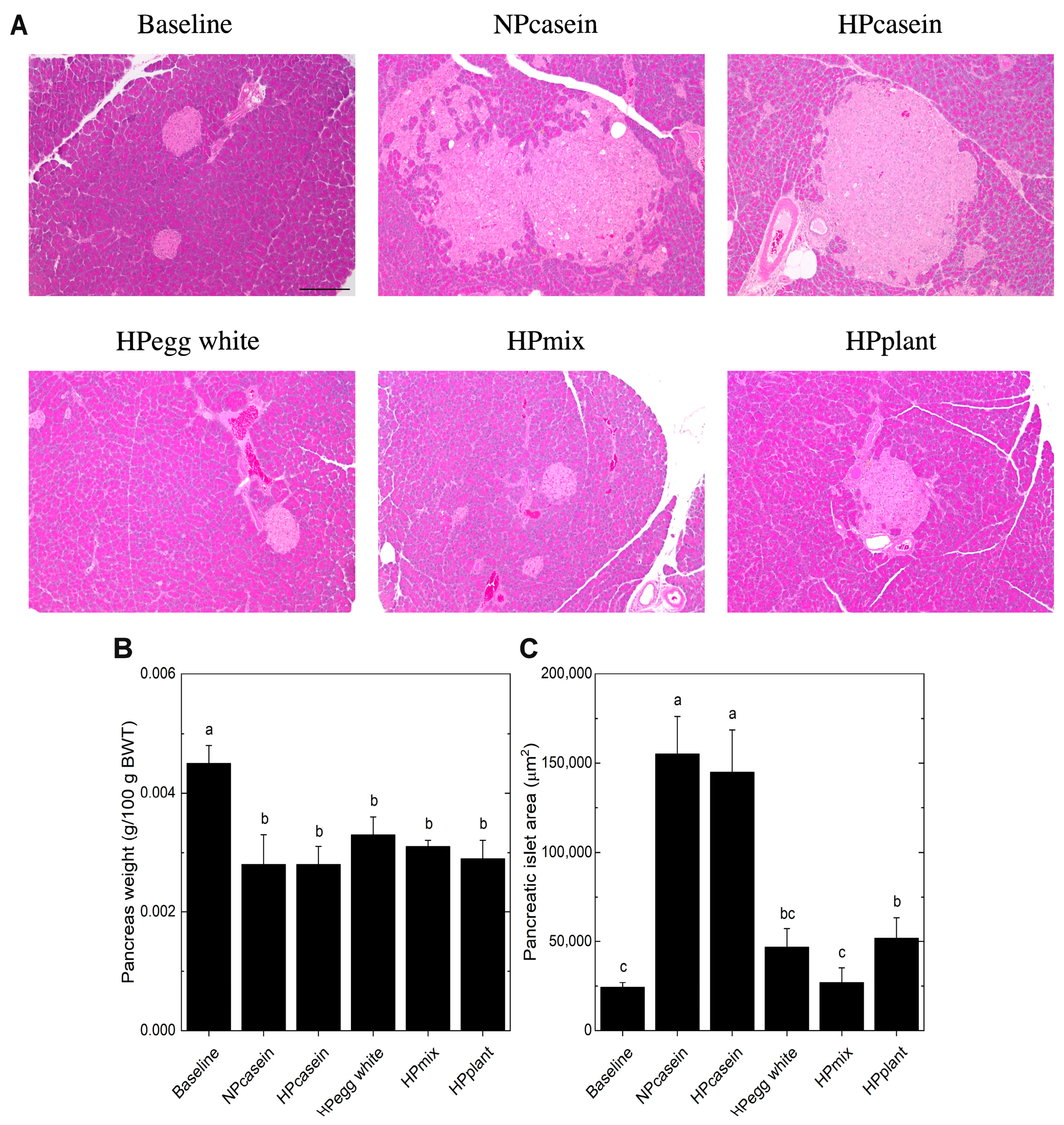 Nutrients 17 03225 g005