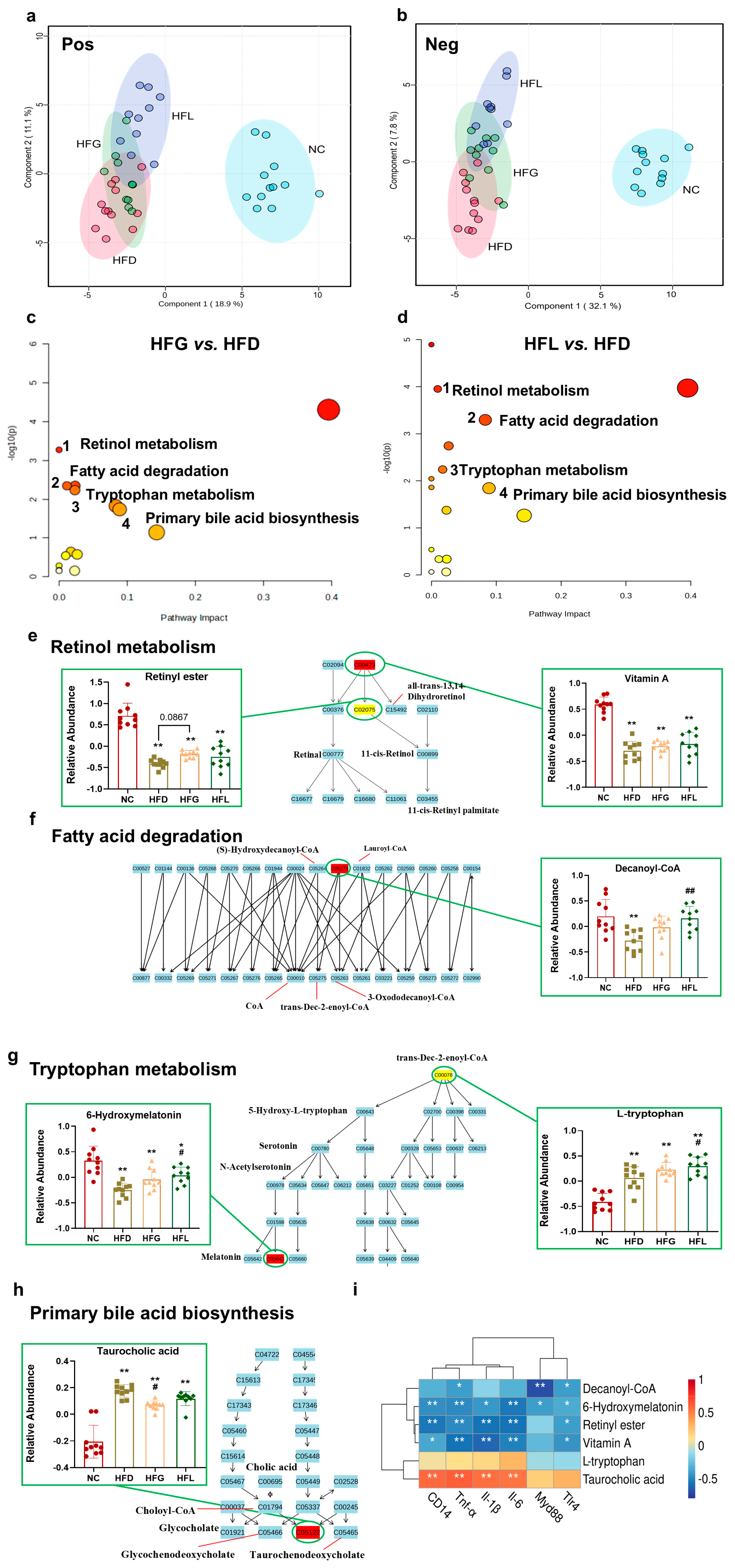 Nutrients 17 03228 g003 Nutrients 17 03228 g003