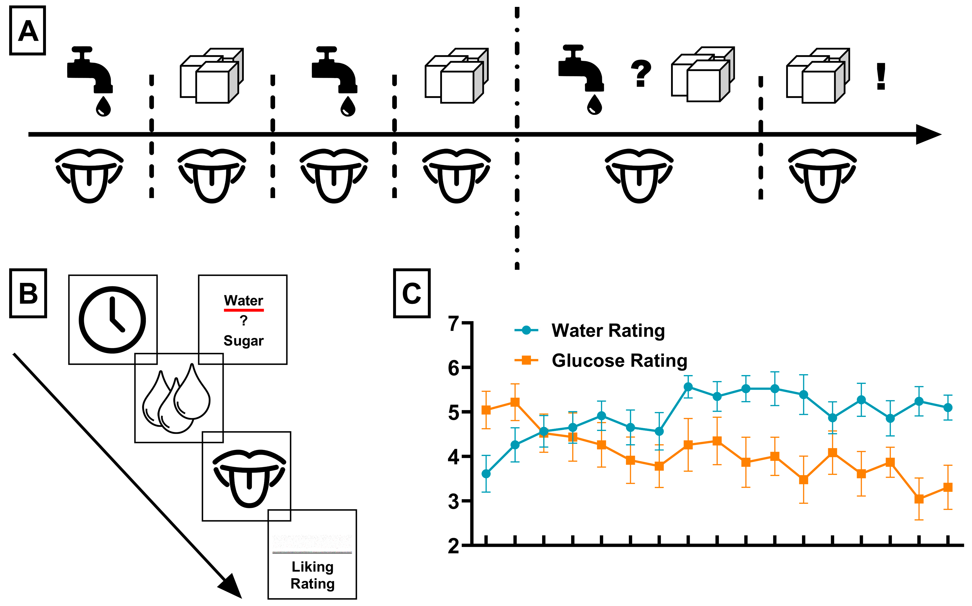 Nutrients 17 03229 g001 Nutrients 17 03229 g001