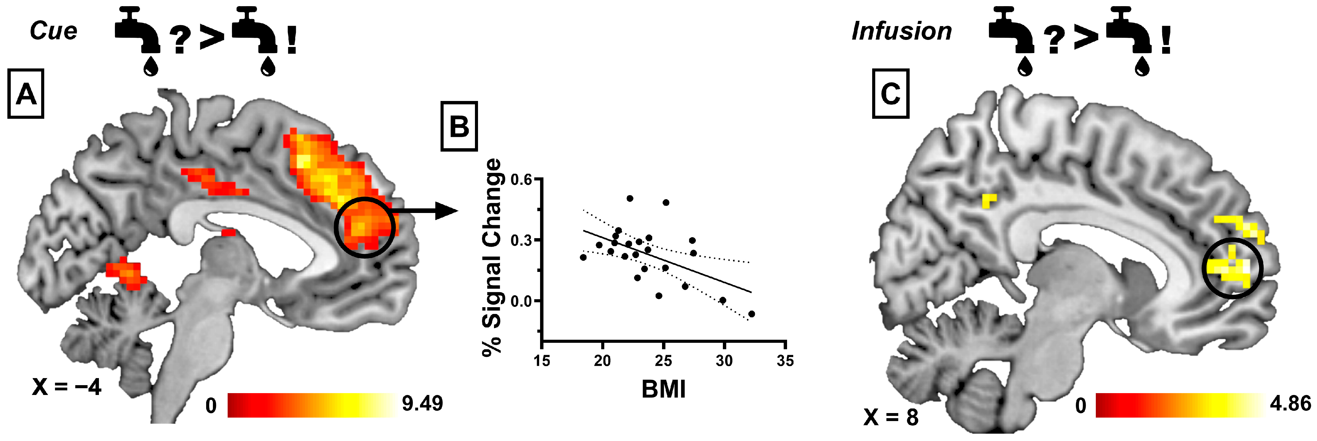 Nutrients 17 03229 g002 Nutrients 17 03229 g002