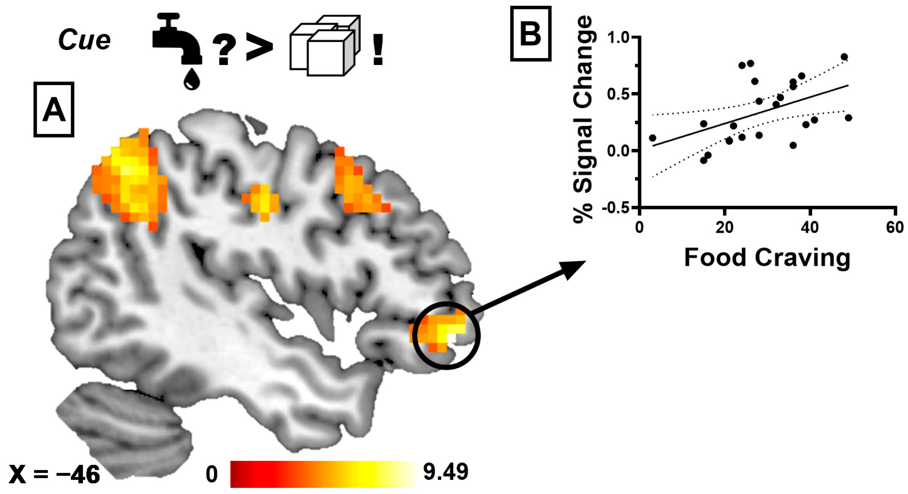 Nutrients 17 03229 g003 Nutrients 17 03229 g003