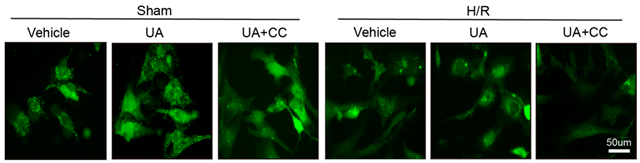 Nutrients 17 03247 i001