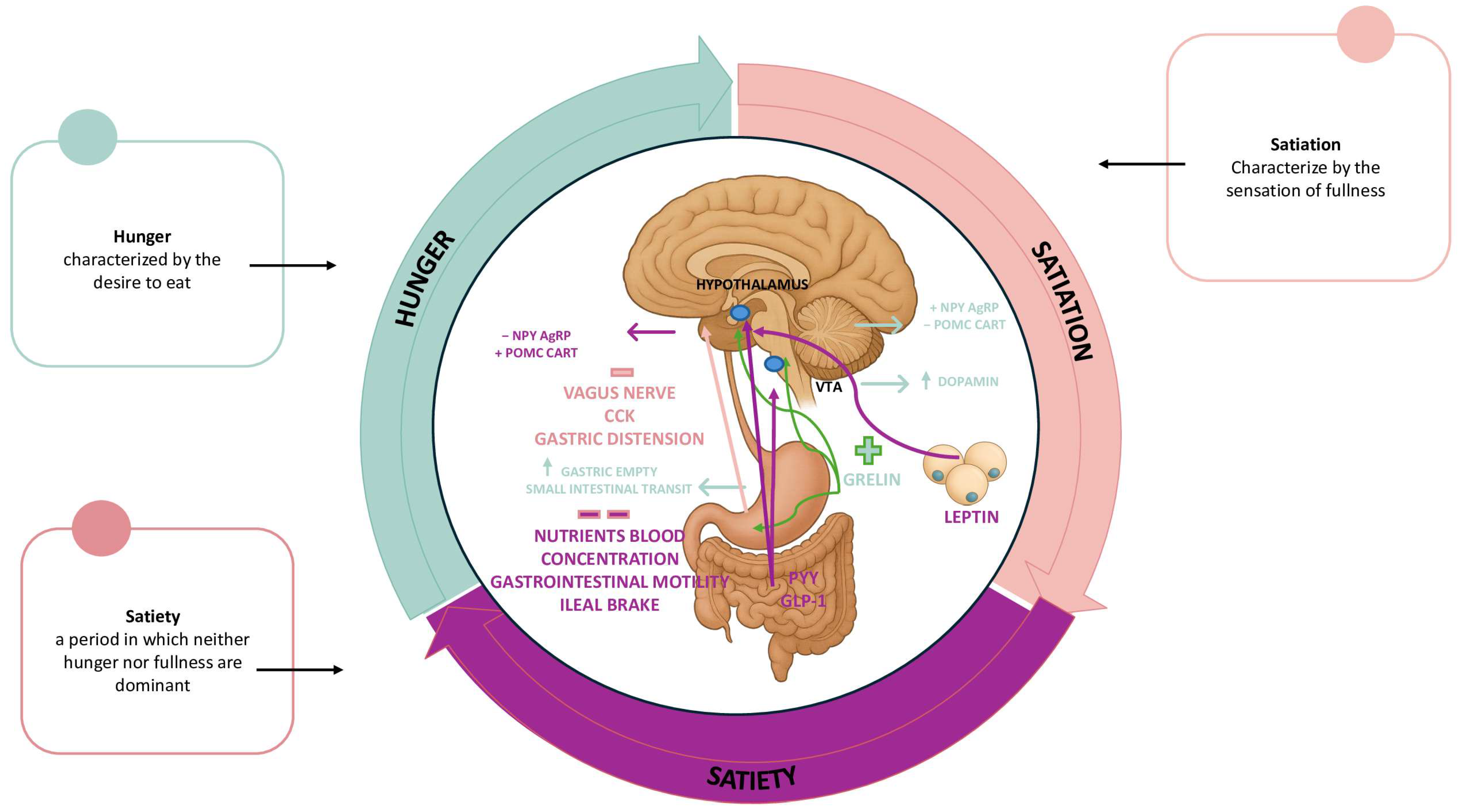 Nutrients 17 03254 g001