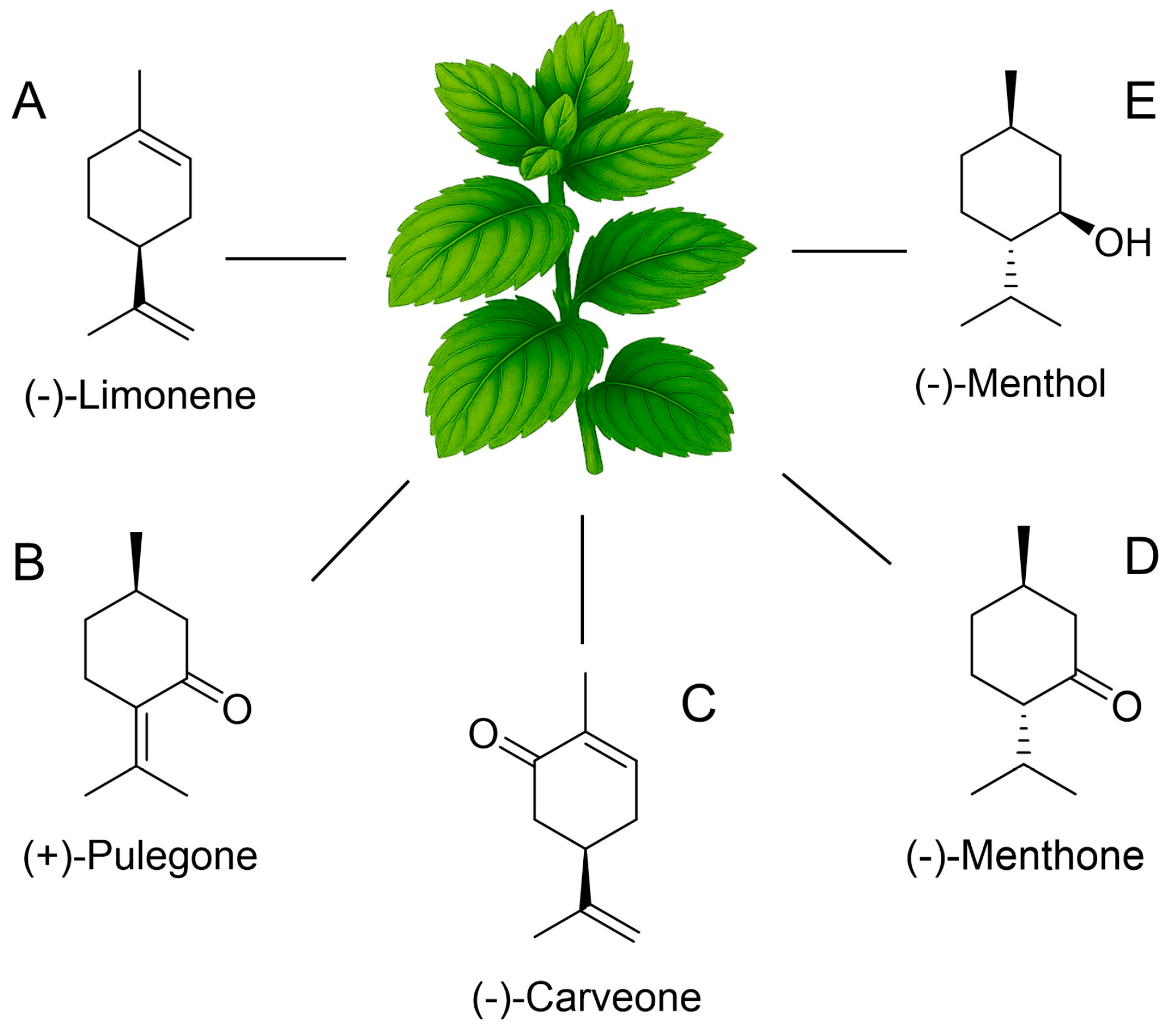 Nutrients 17 03258 g002