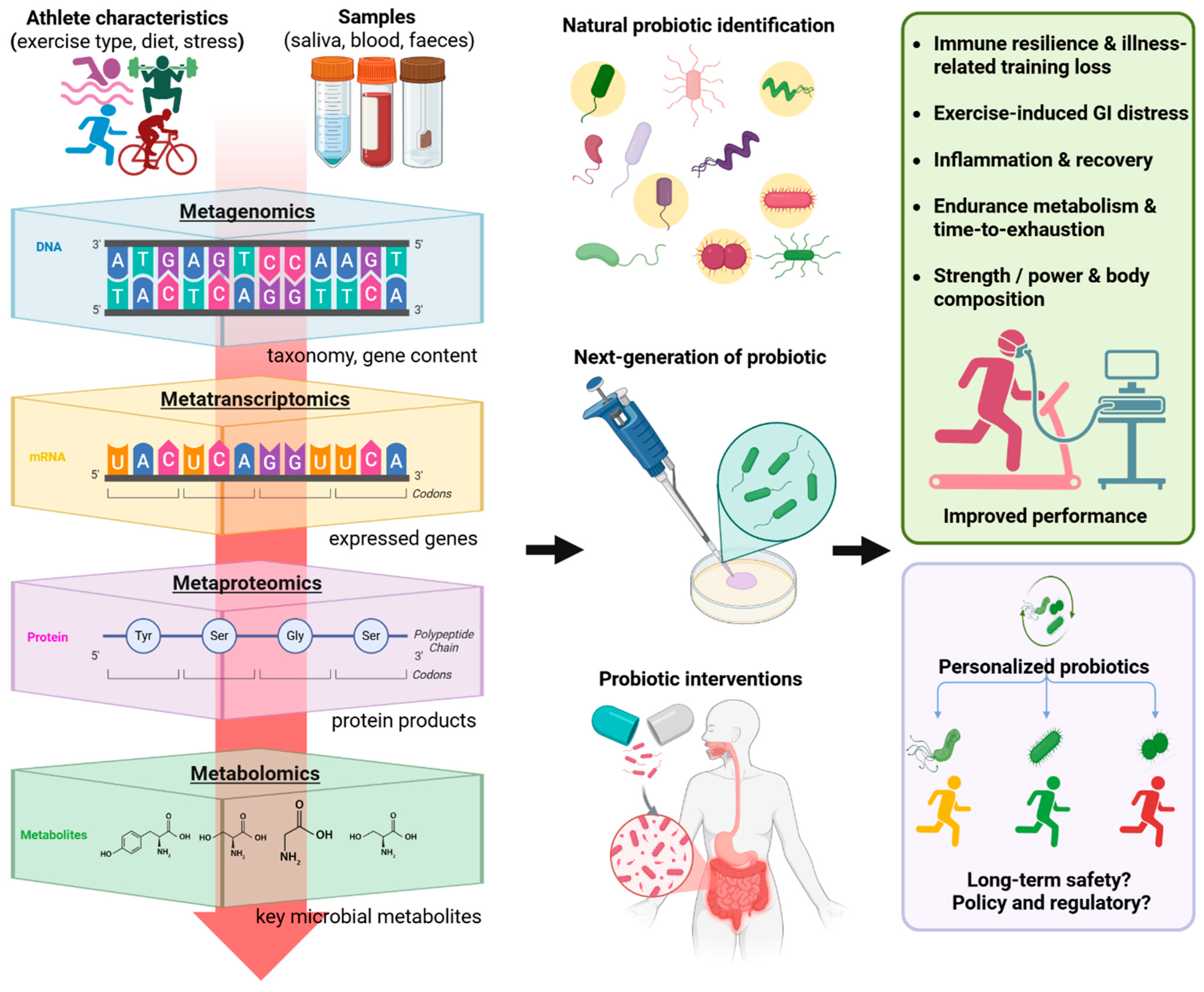 Nutrients 17 03260 g001
