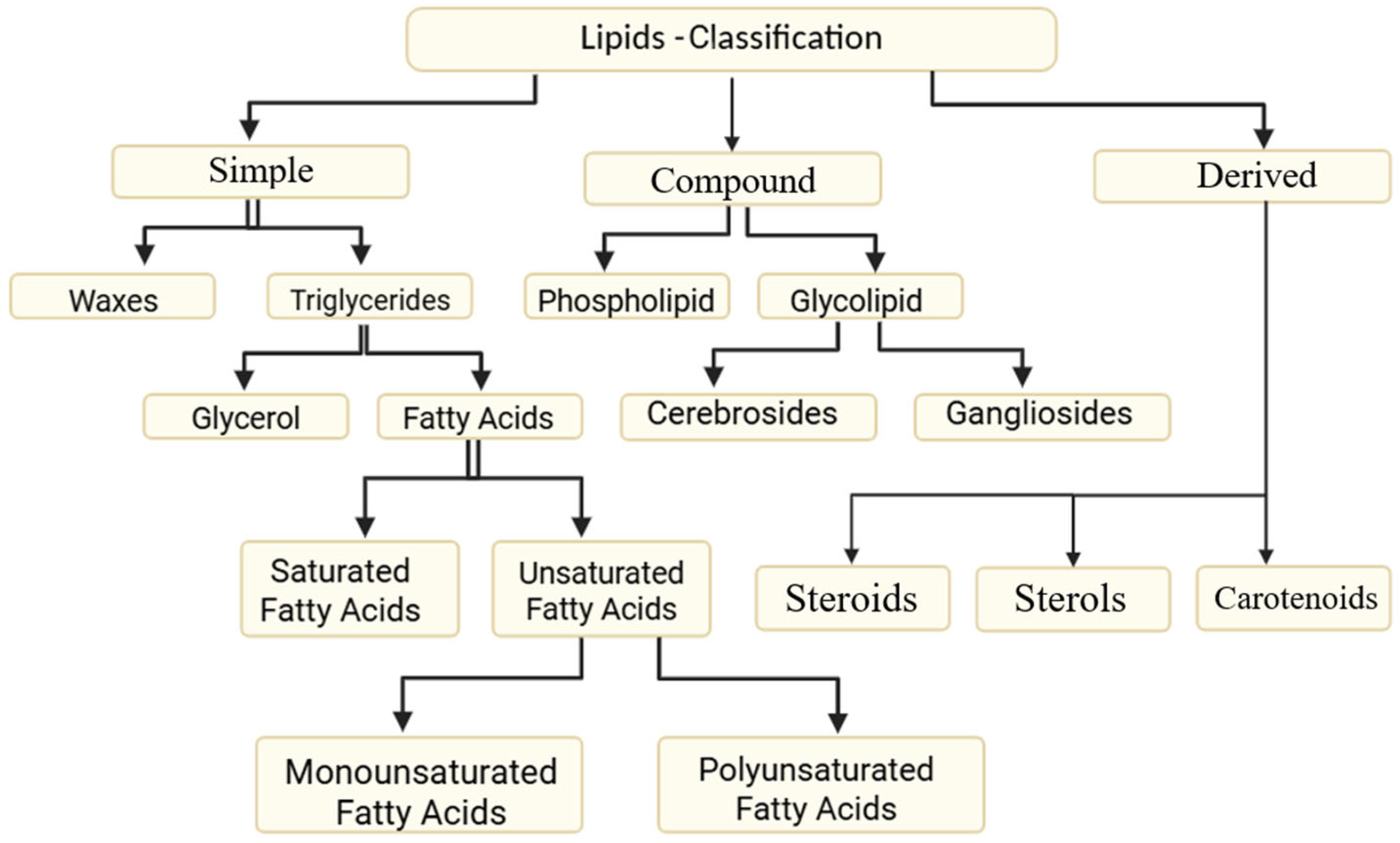 Nutrients 17 03271 g001 Nutrients 17 03271 g001