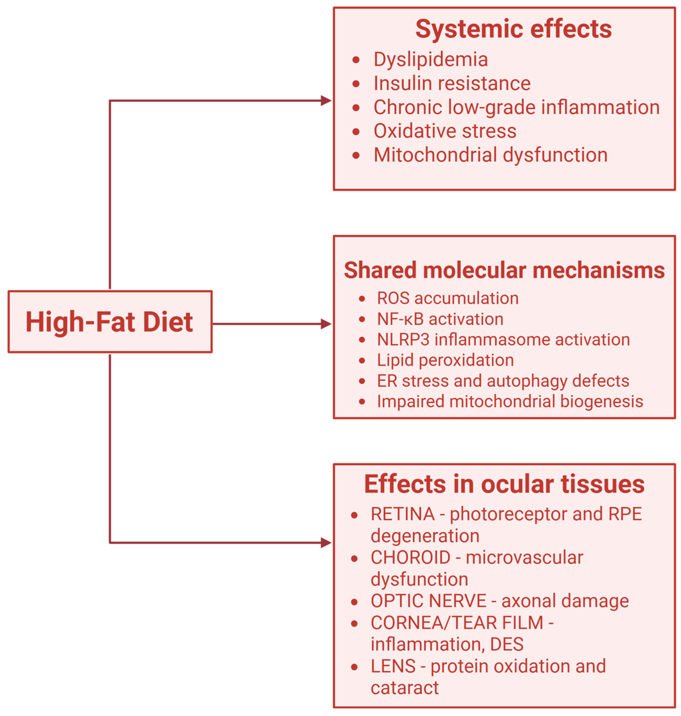 Nutrients 17 03271 g003 Nutrients 17 03271 g003
