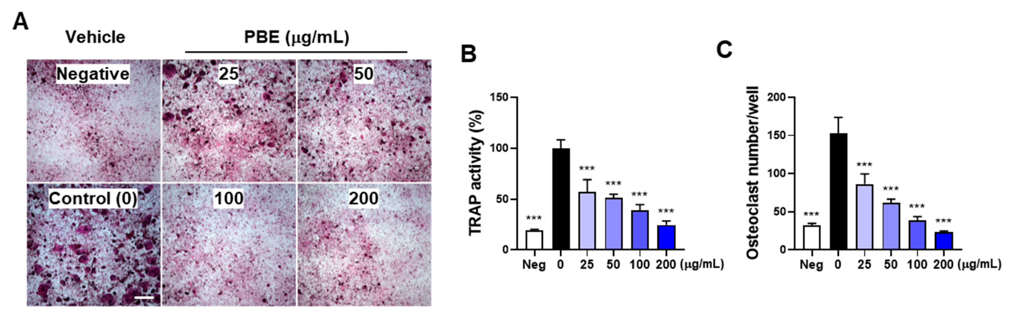Nutrients 17 03273 g001 Nutrients 17 03273 g001