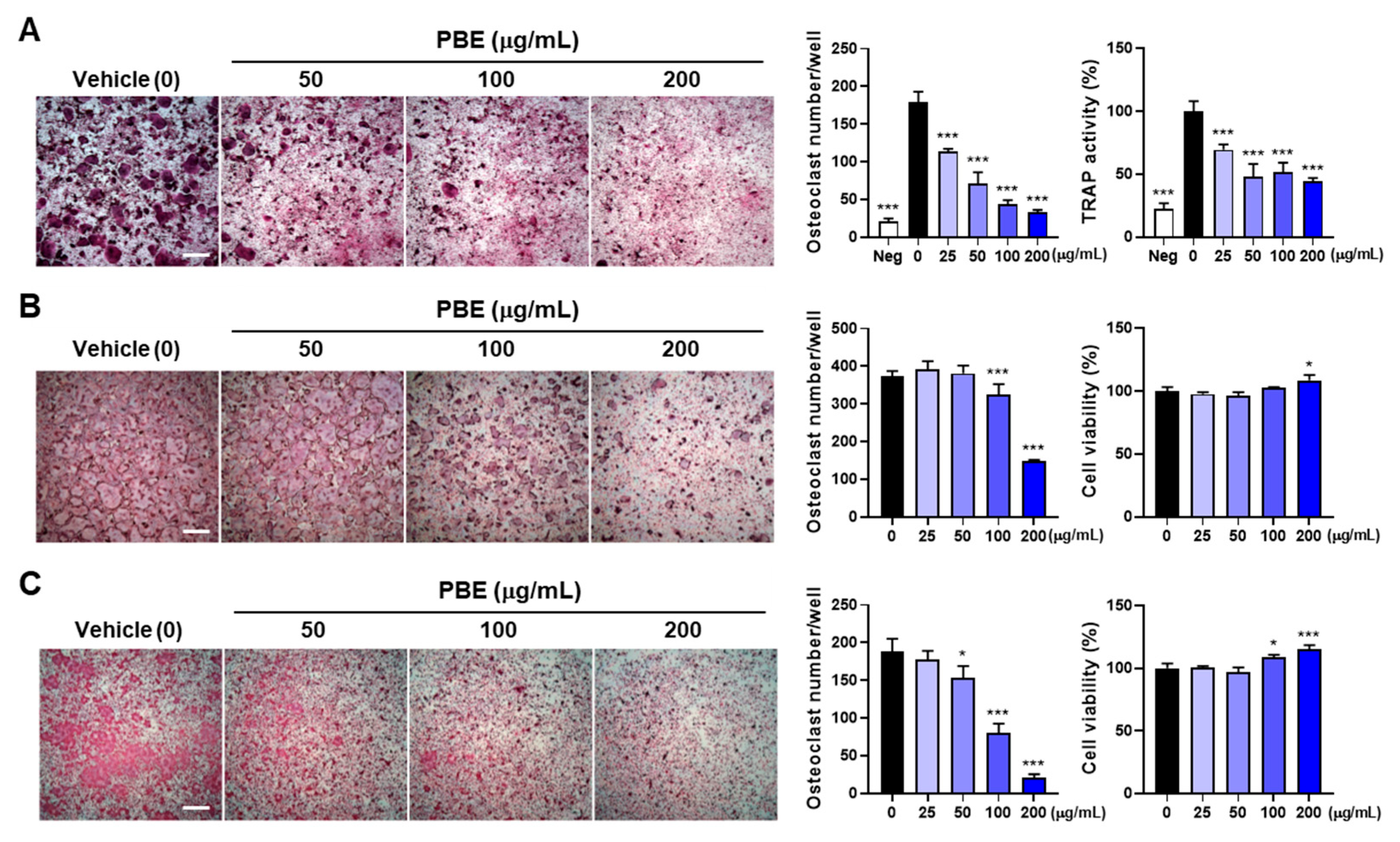 Nutrients 17 03273 g004 Nutrients 17 03273 g004