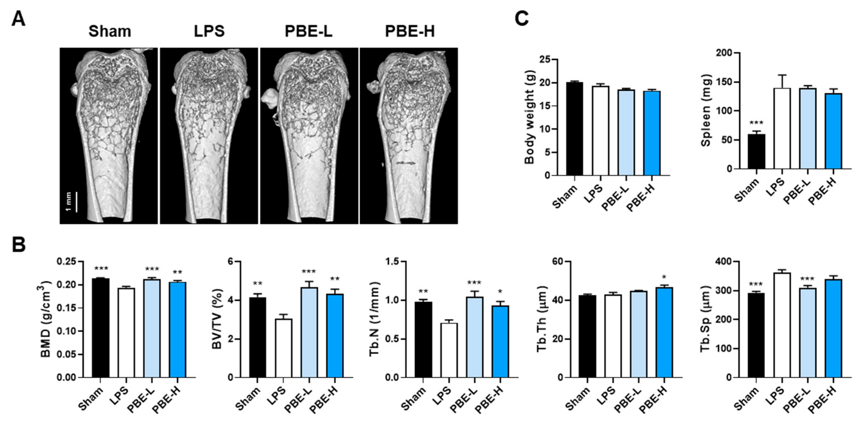 Nutrients 17 03273 g005 Nutrients 17 03273 g005