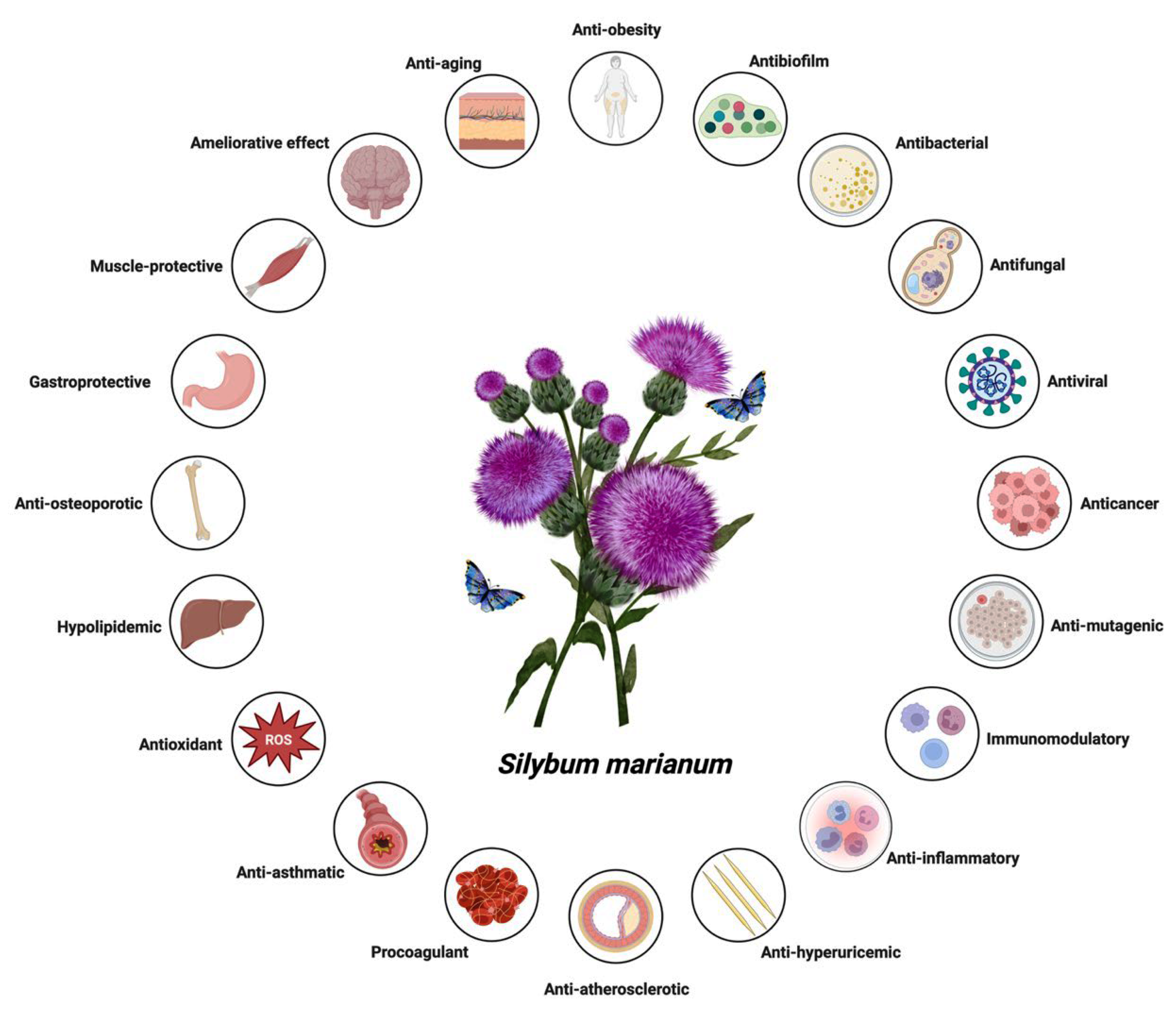 Nutrients 17 03278 g001