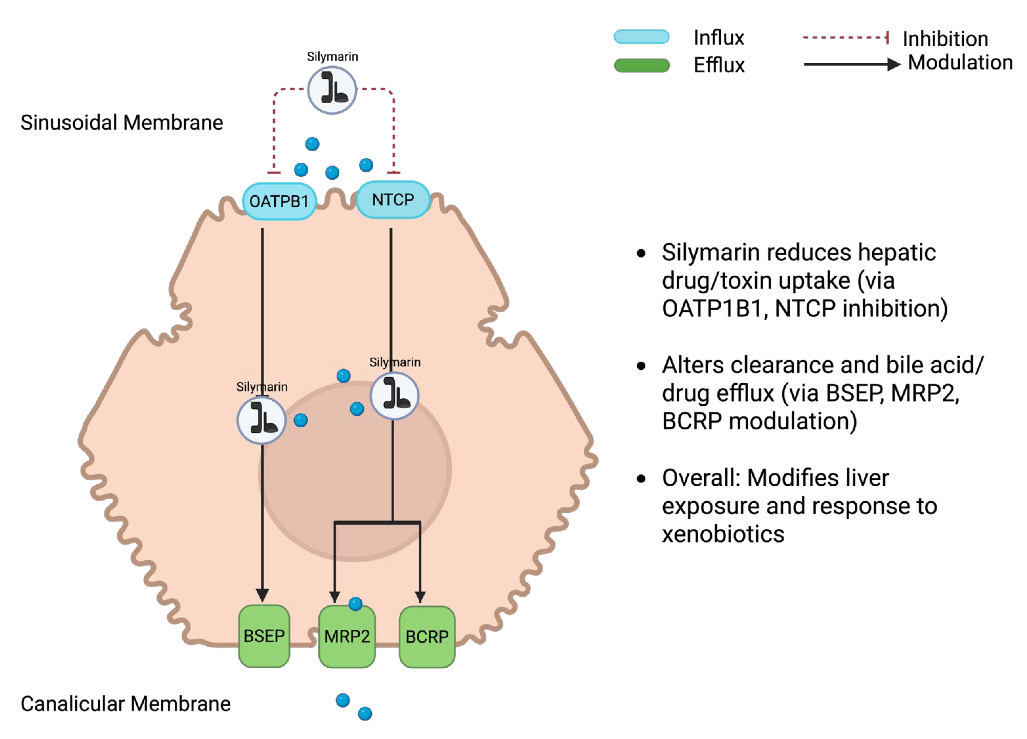 Nutrients 17 03278 g002