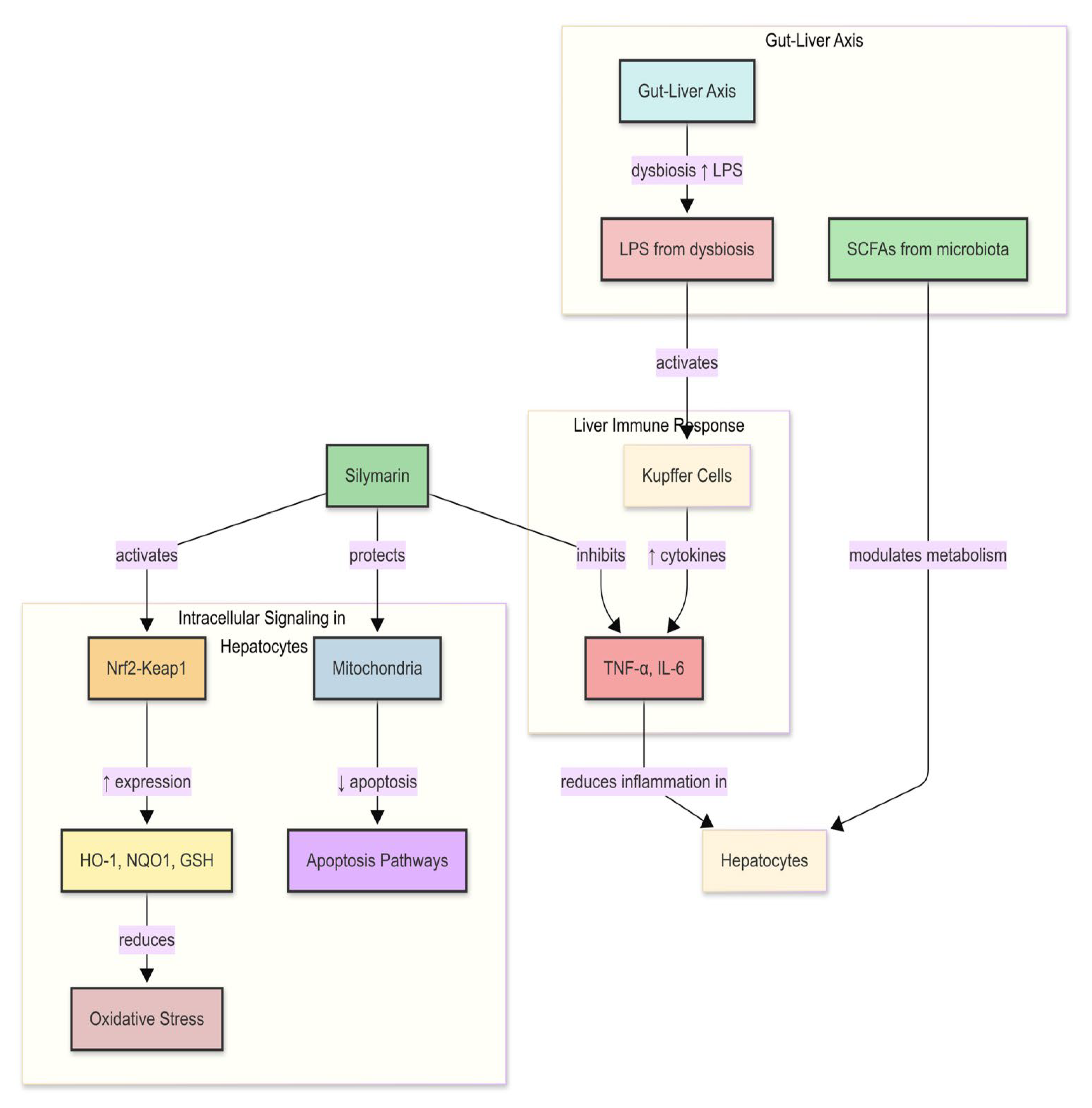 Nutrients 17 03278 g003